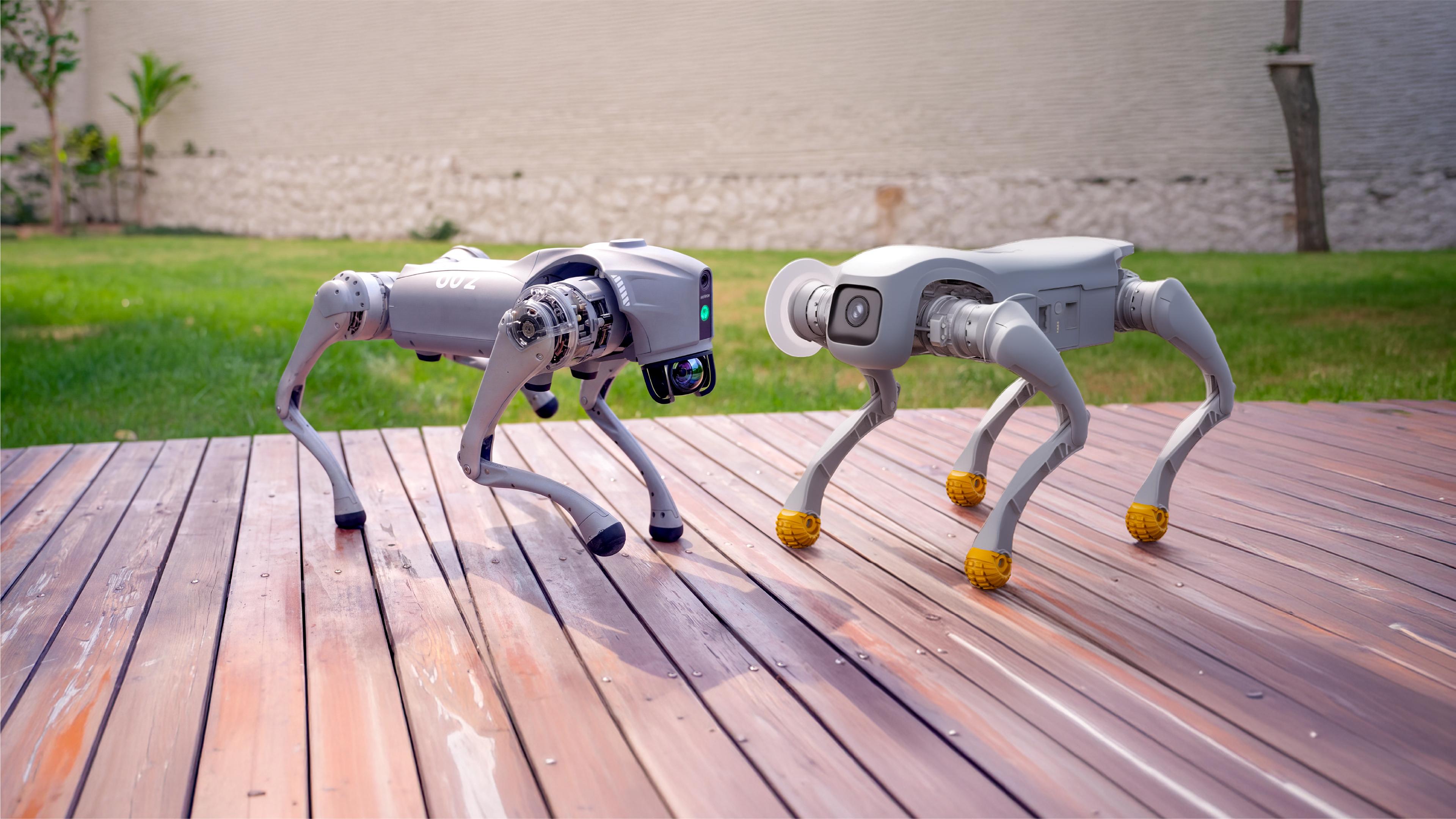 agibot-d1-vs-unitree-go2-edu-plus