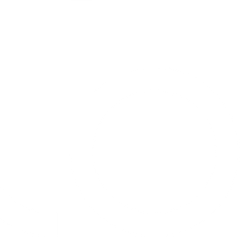 Realbotix LLC logo