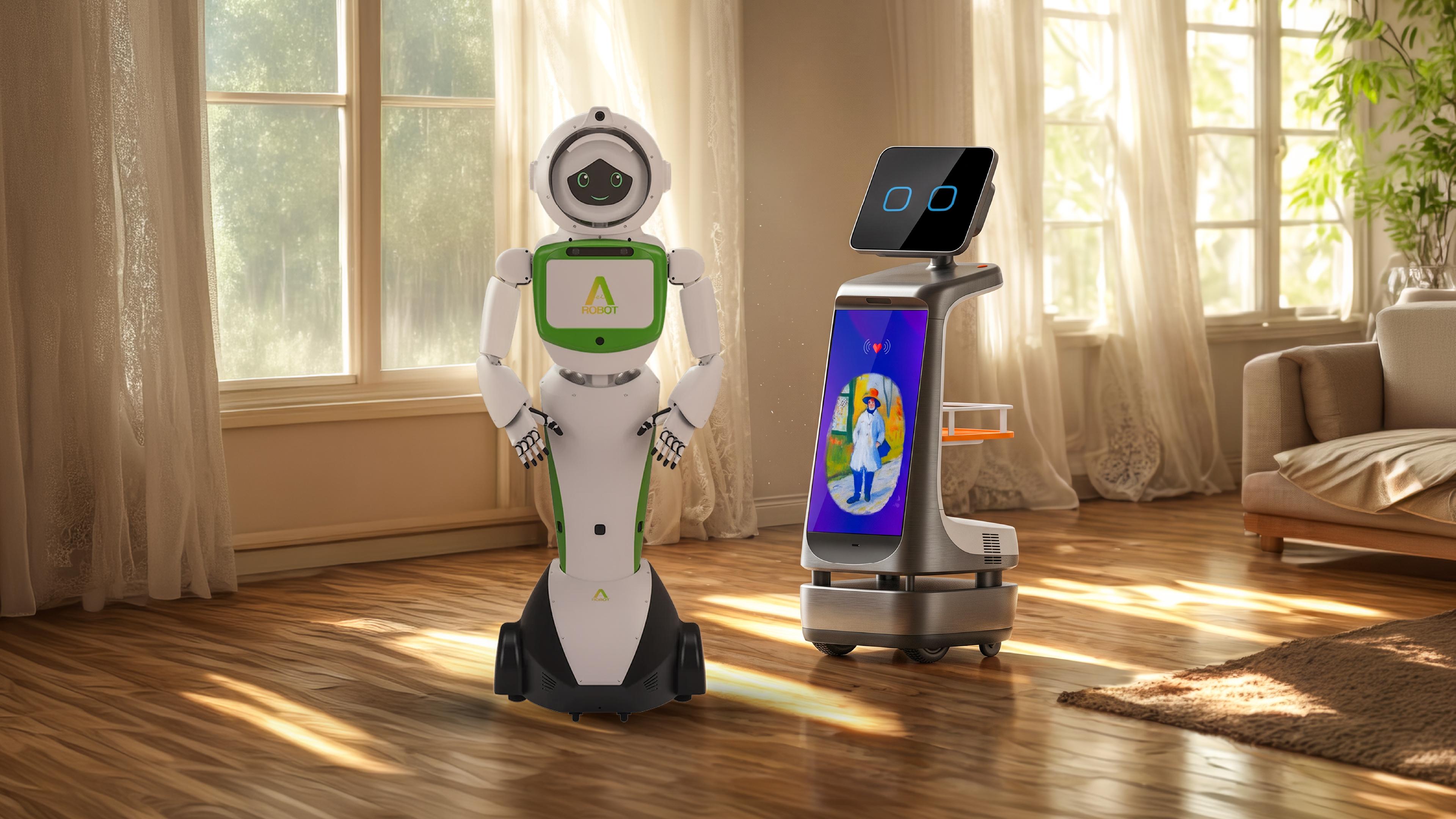 robint-joy-vs-aeirobot-aimy