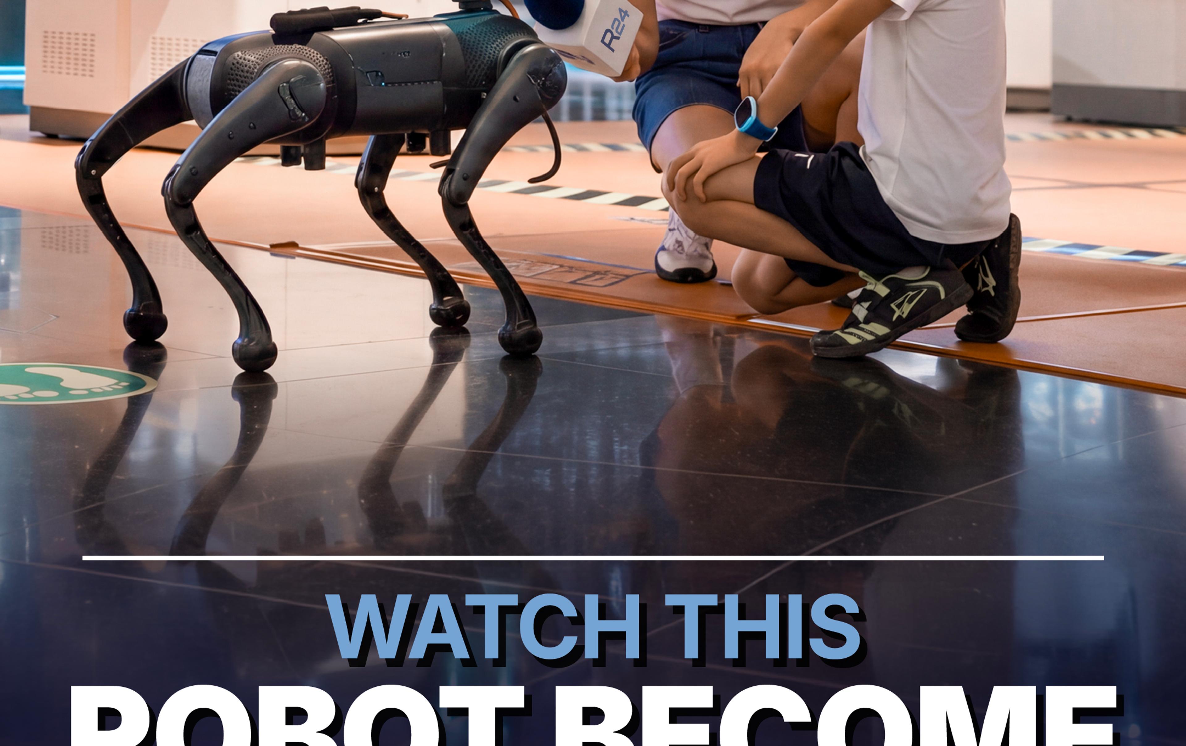 Robot Best Friends