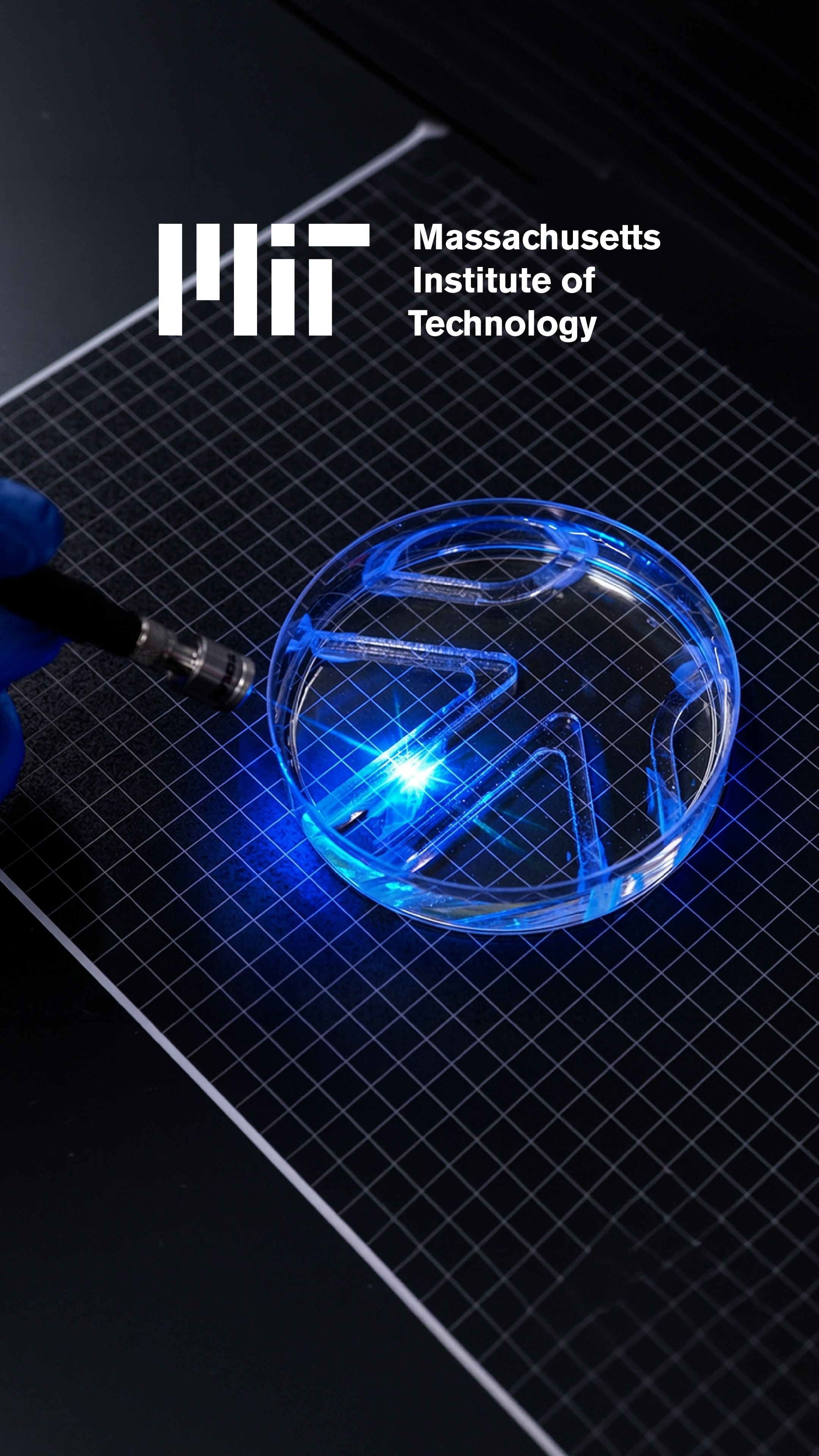 A researcher shines blue light onto a transparent dish containing MIT's muscle-powered swimming robot.