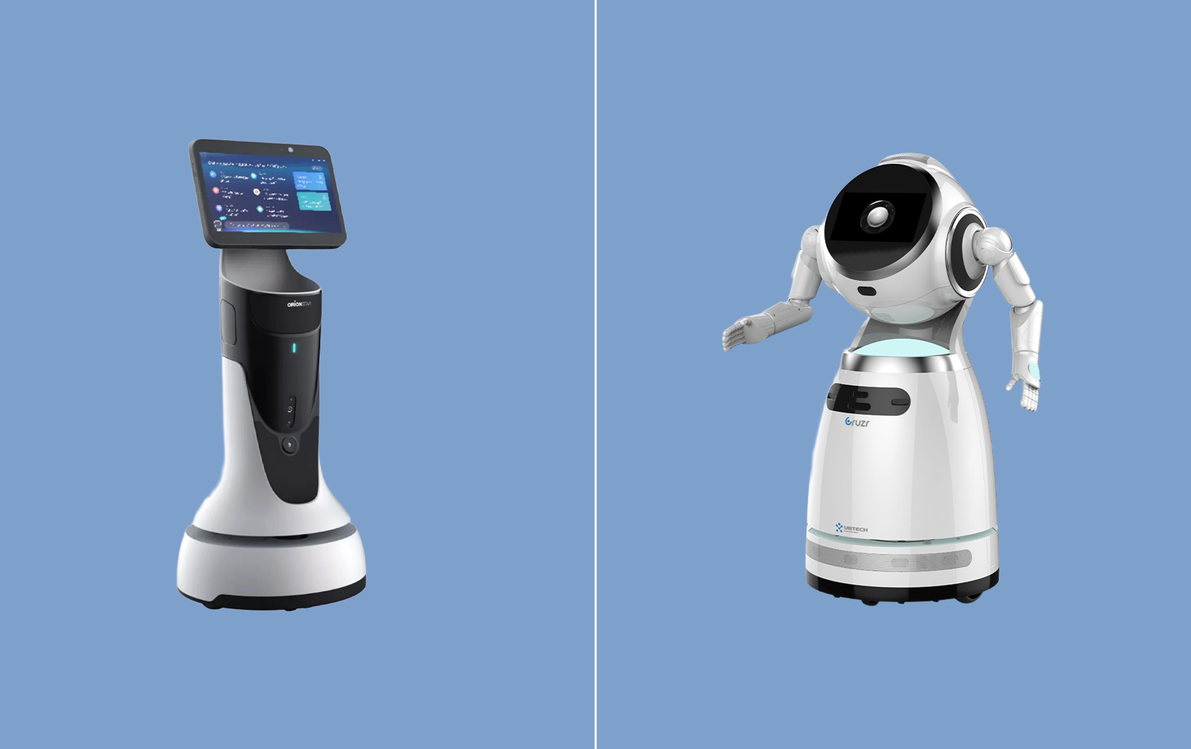 UBTECH Cruzr 1S vs. OrionStar GreetingBot Mini Robot