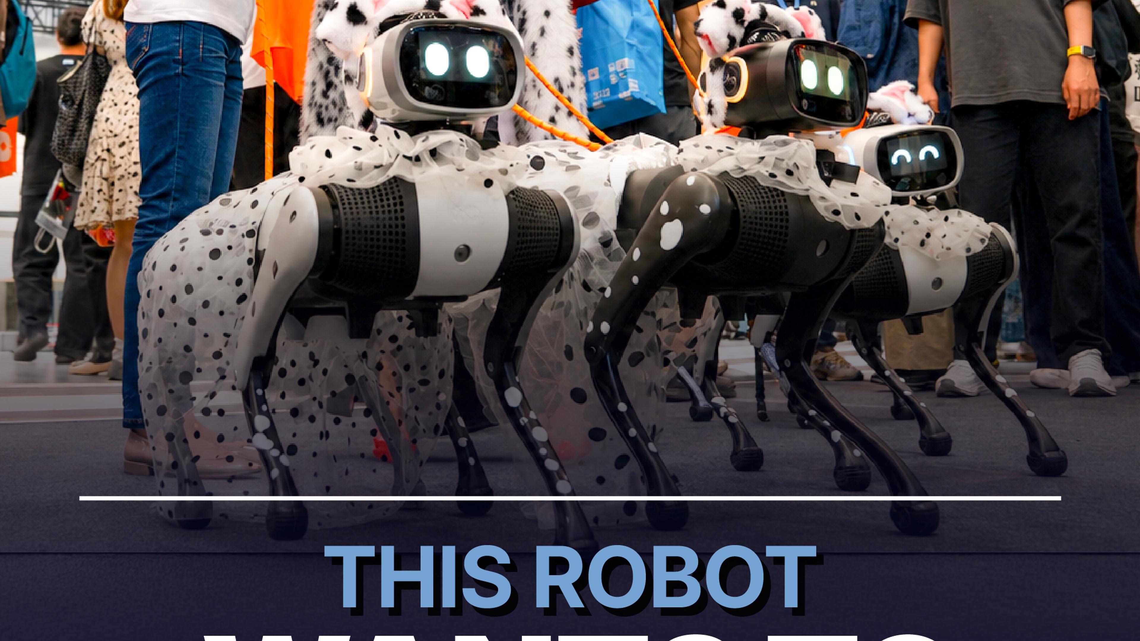 Vbot Showcases Robots for Living Spaces