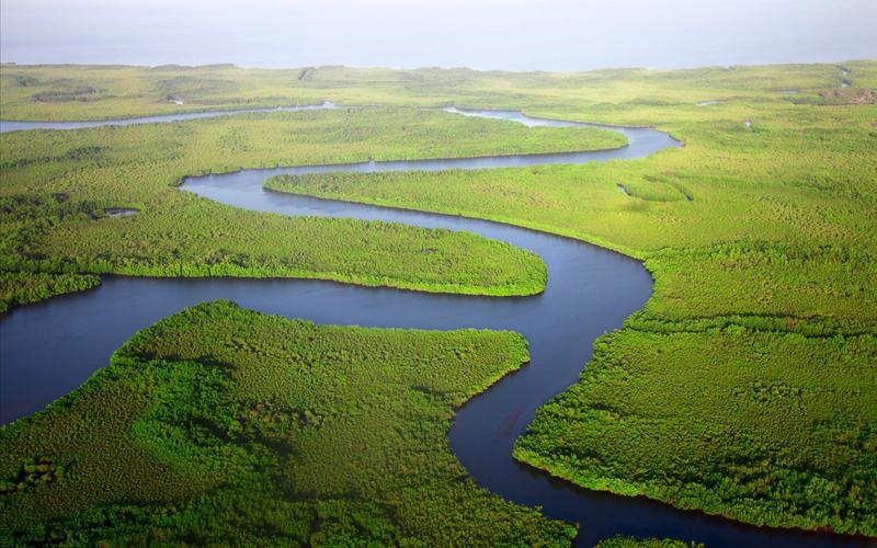 Virgin forests around a river