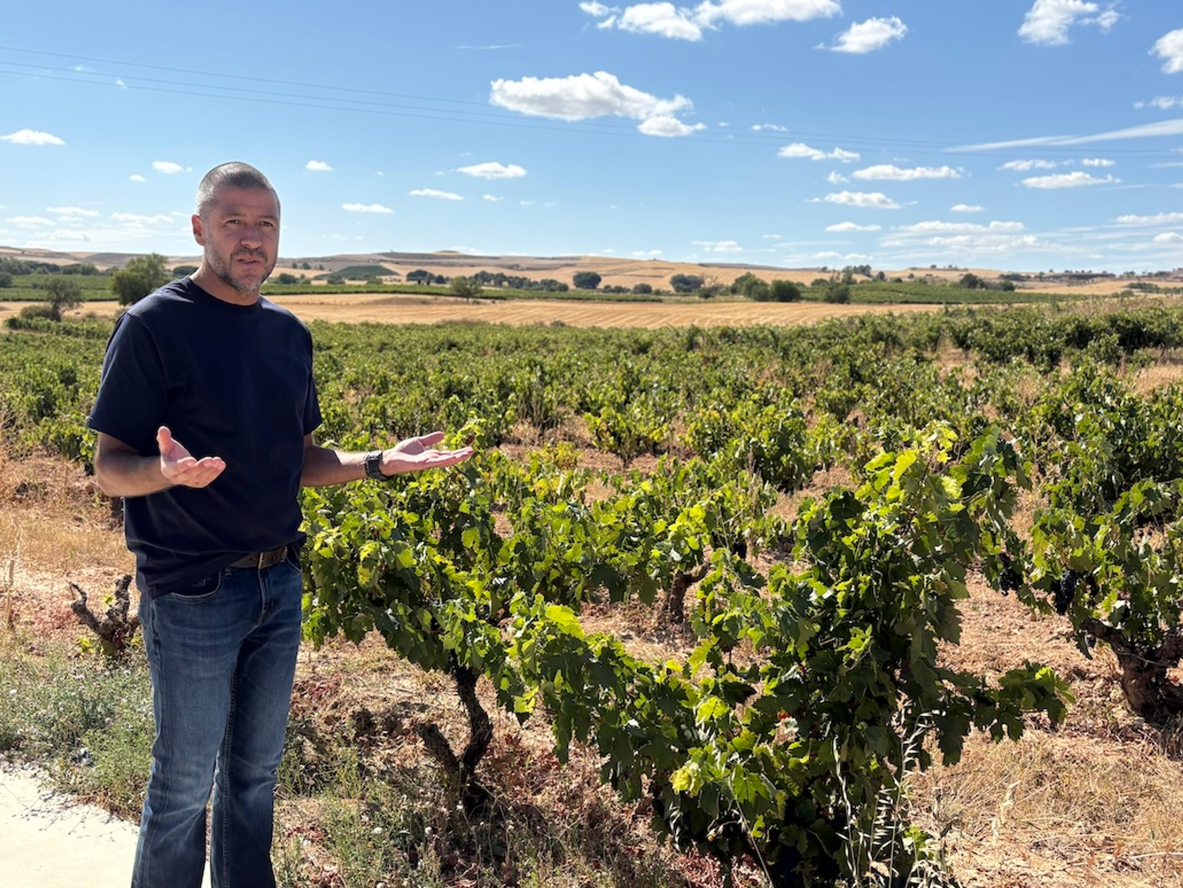 Spain’s dynamic wineries: tradition and avant-garde innovation