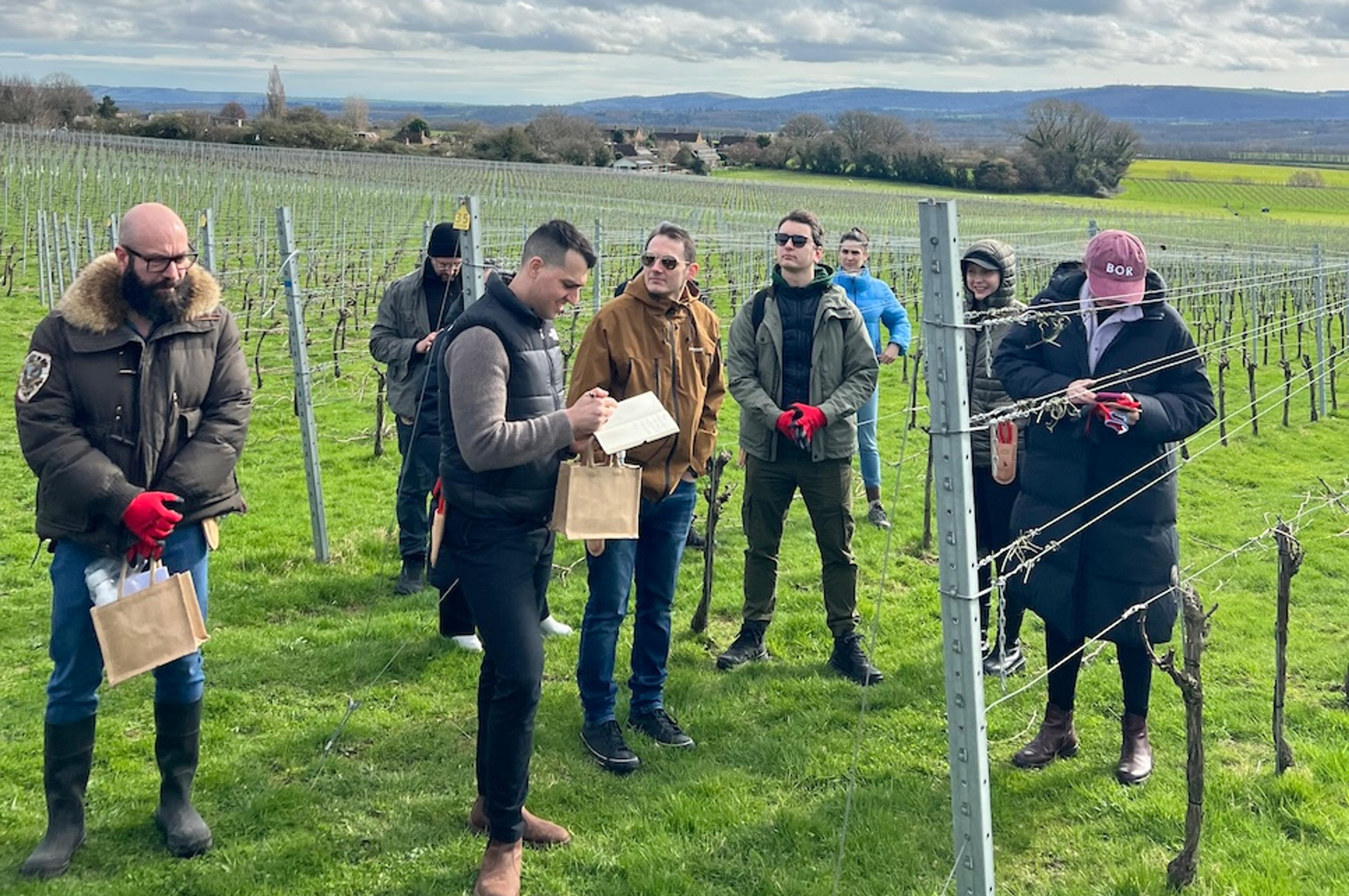 Roebuck Viticulture Academy – sommeliers get hands-on practice