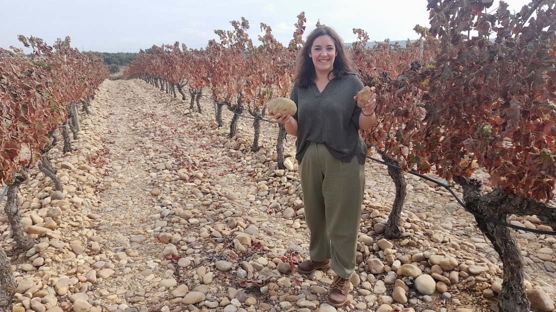 Quality and freshness: 11 wine estates driving Tejo forwards