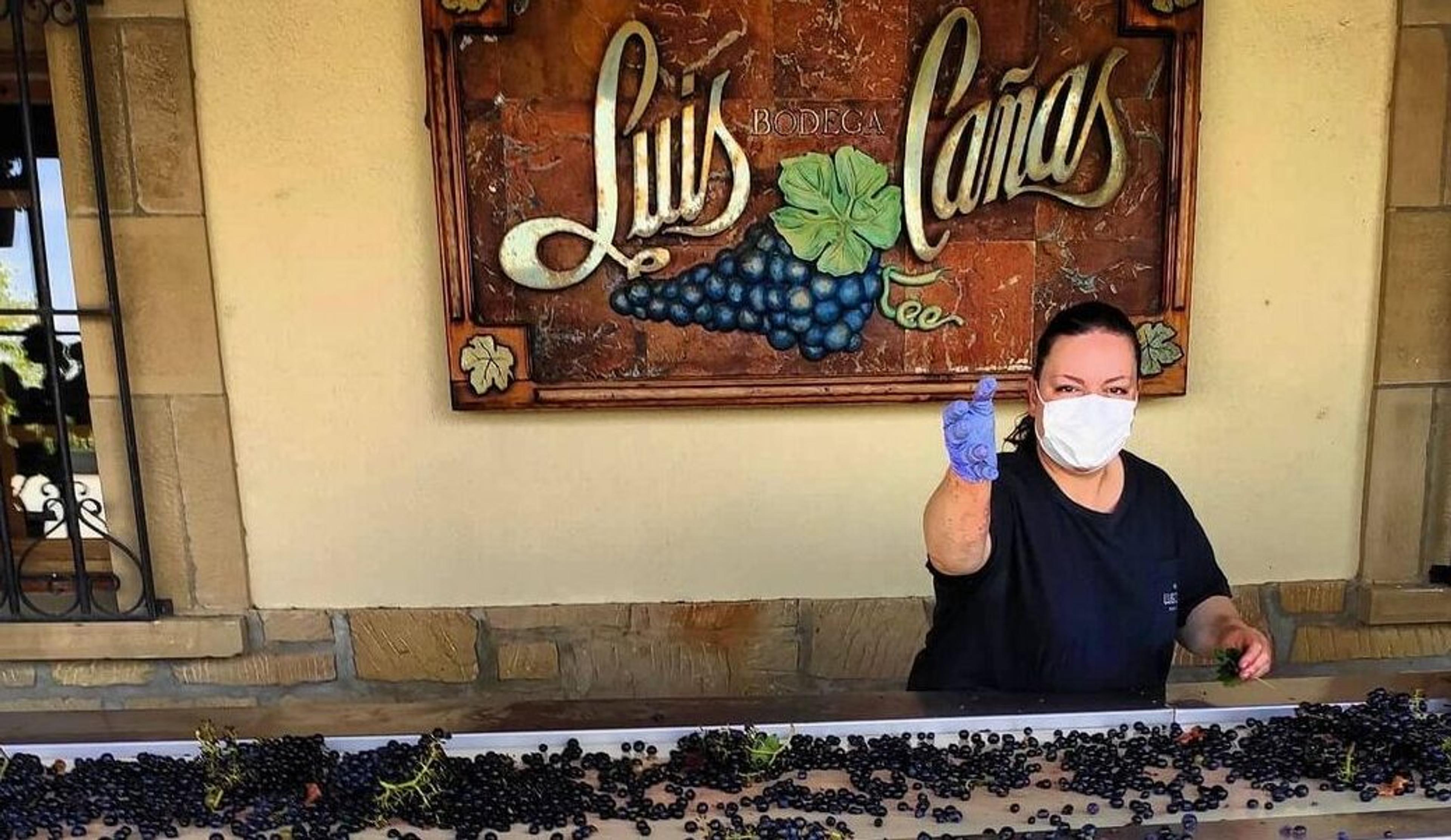 Geoffrey Dean on the irresistible rise of Rioja Alavesa’s Luis Cañas