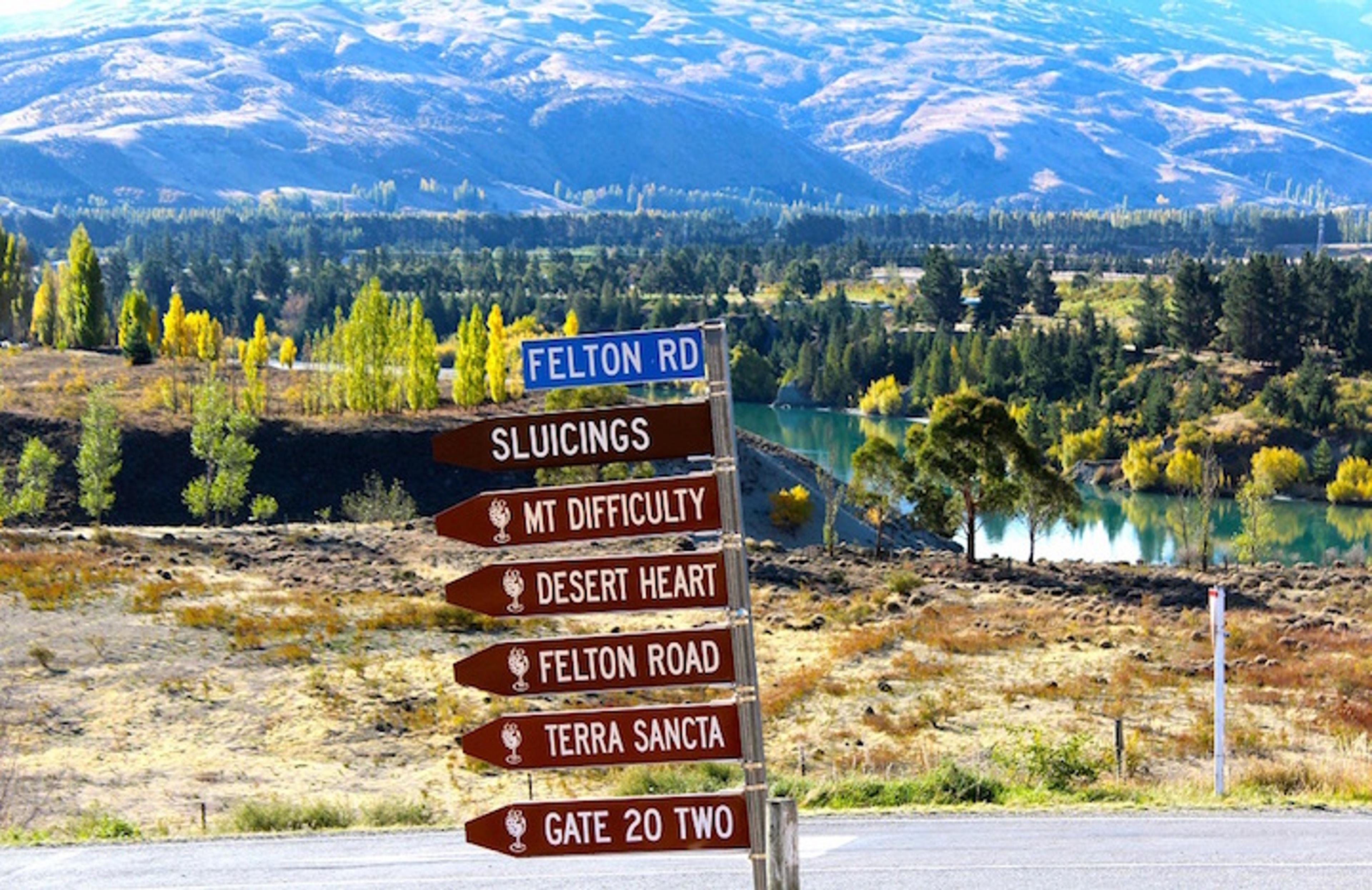 All roads lead to Pinot Noir NZ17: Roger Jones anticipates the event