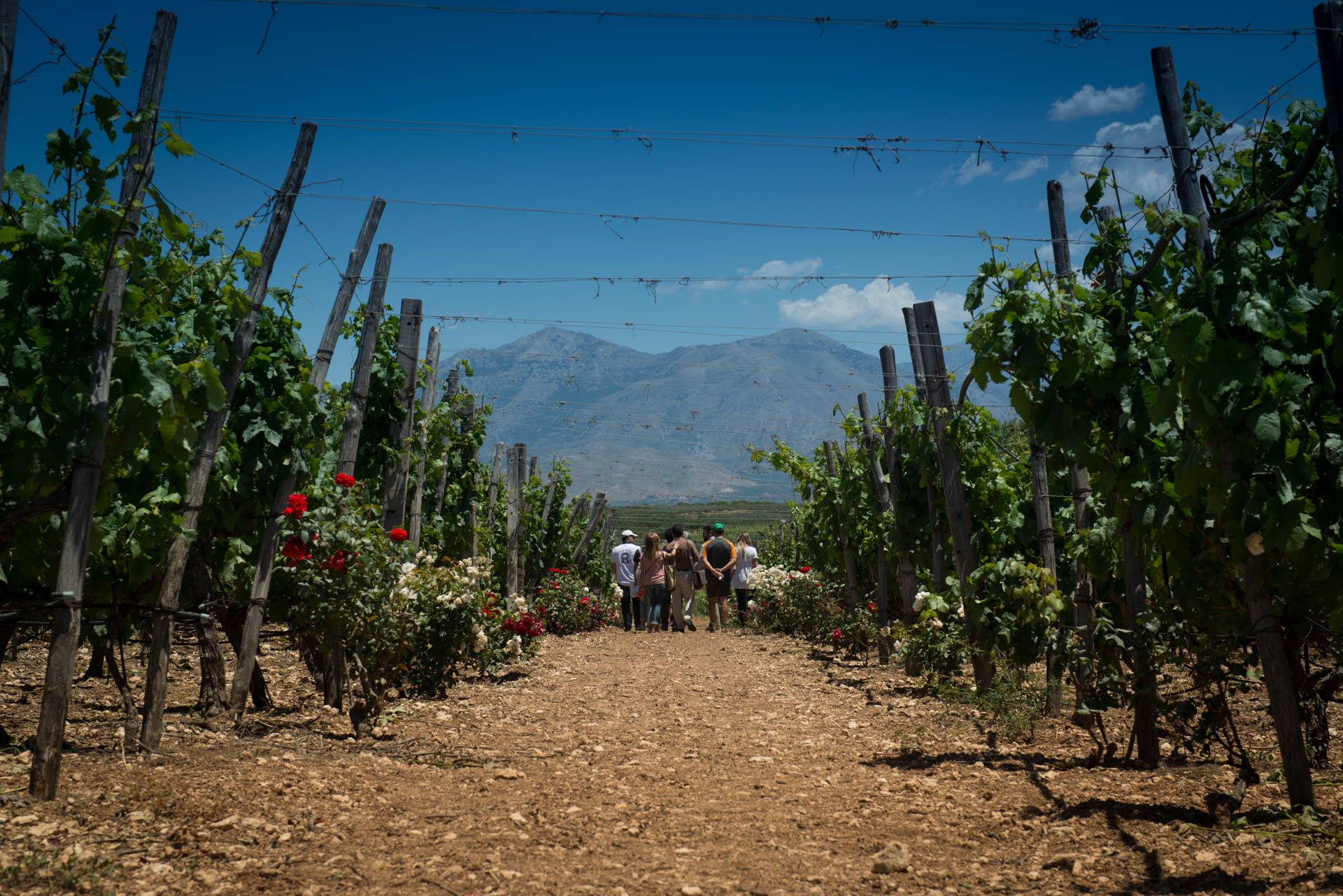How wine from emerging regions is truly ‘wine without frontiers’