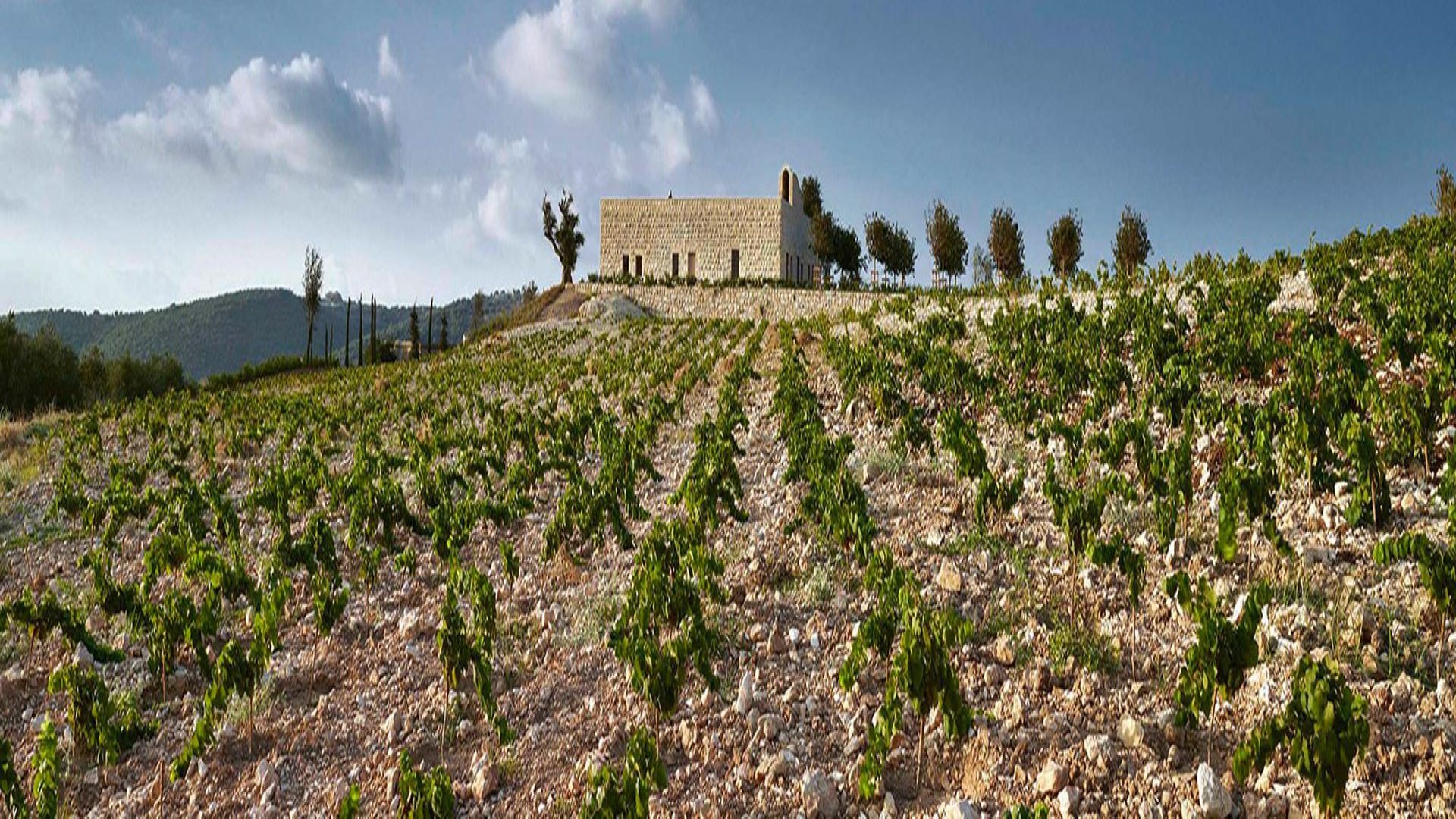 Why export is key to Lebanon wine’s long road to recovery