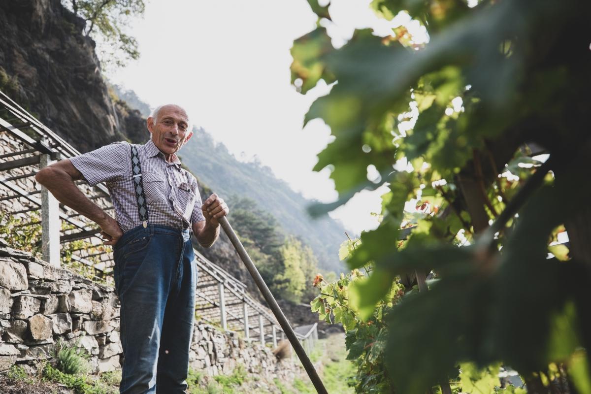 Why you have to discover the delights of Valle d’Aosta wine