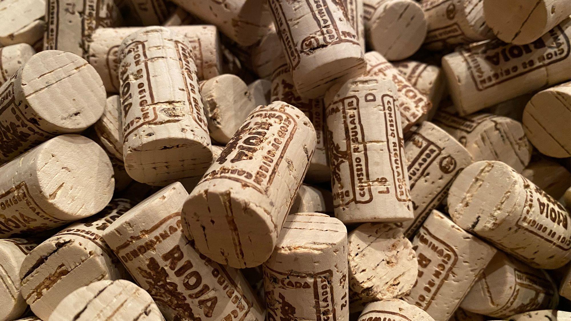 Rioja’s terroir revolution and 100 kms of diversity: Inside Rioja #1
