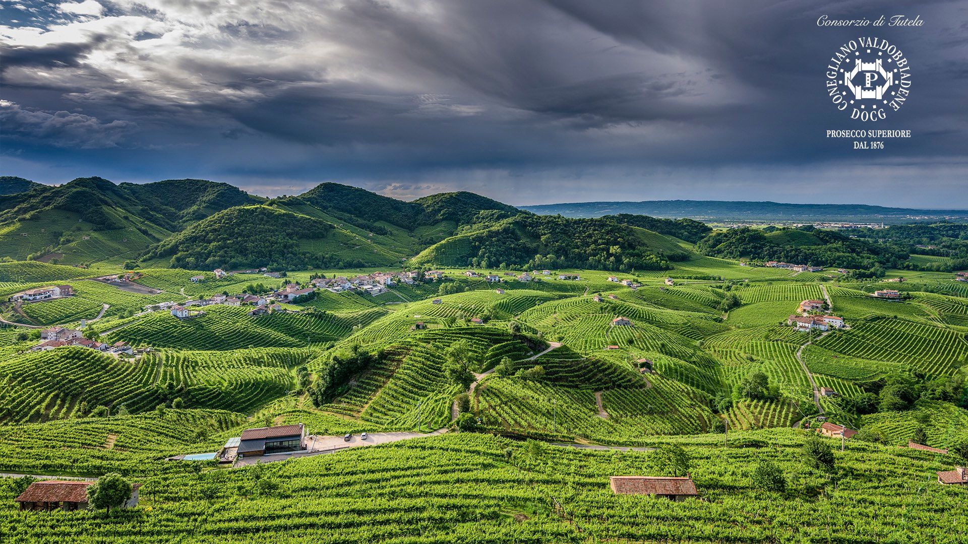 IWSC judges on the top DOCG Proseccos in 2022 awards