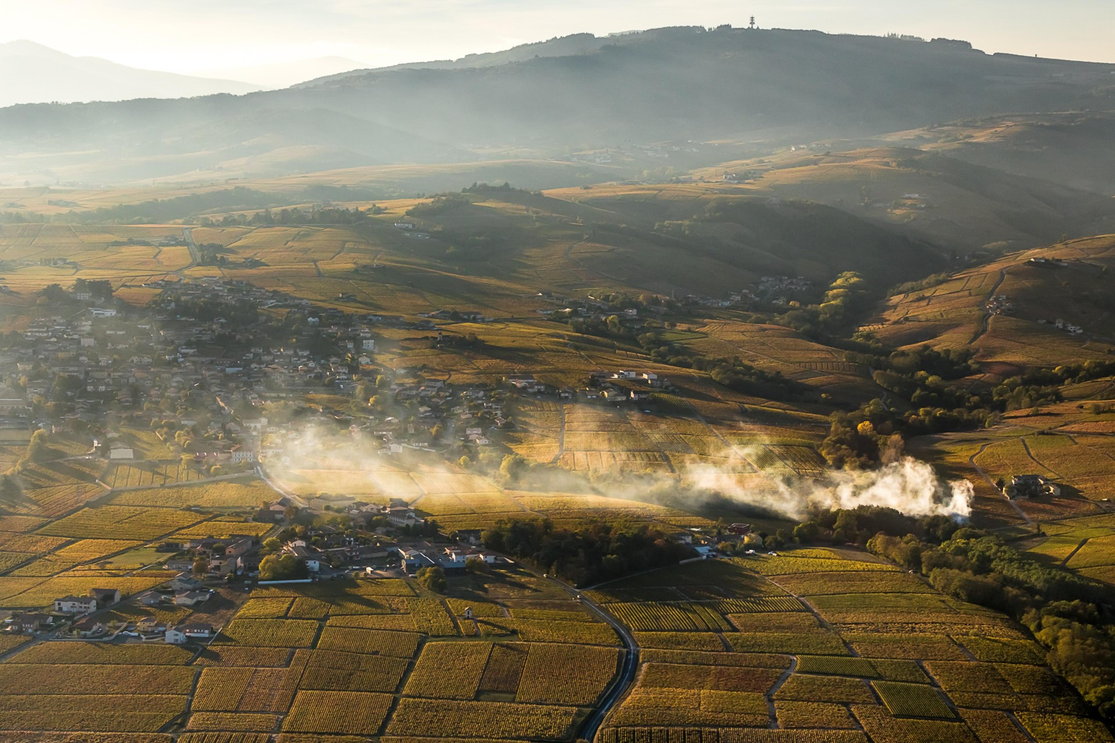 How Beaujolais has fresh white & red wines for premium wine buyers