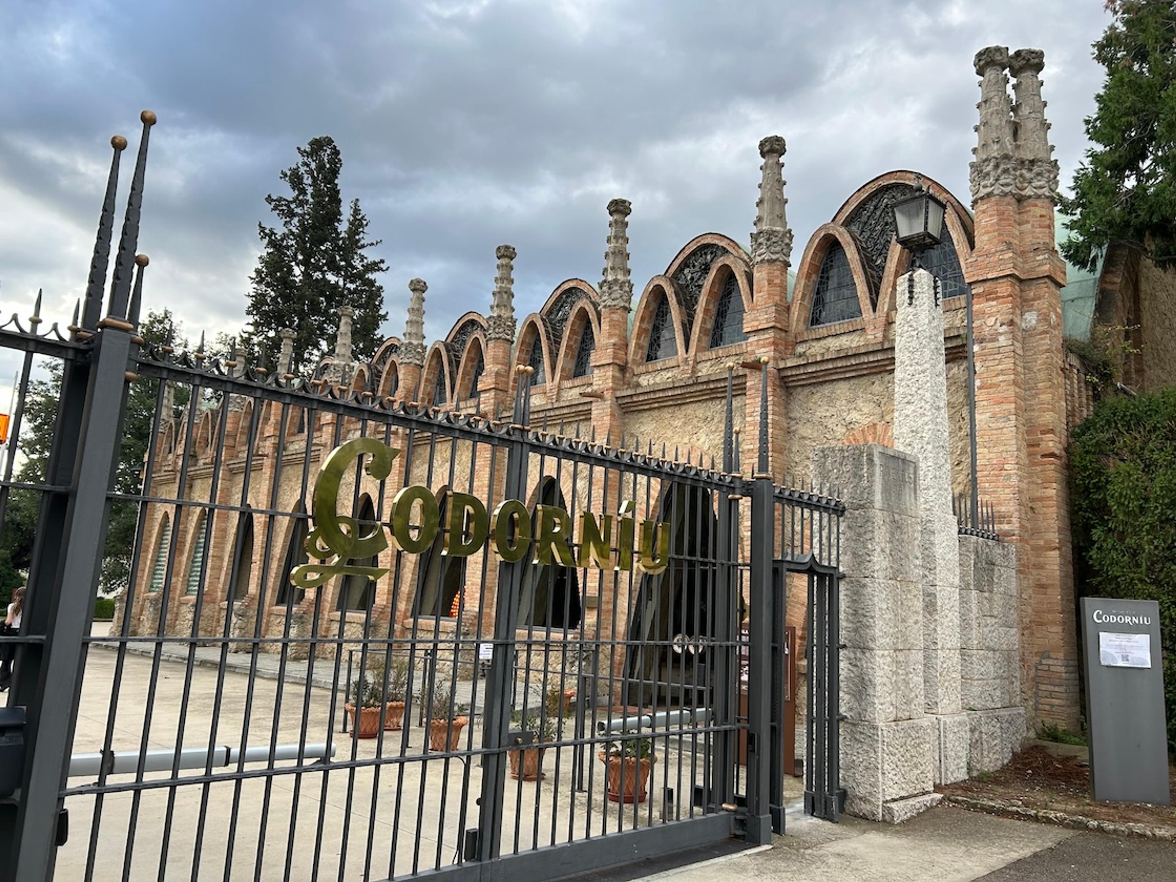 How Codorníu fashions a more precise expression of terroir in Cava