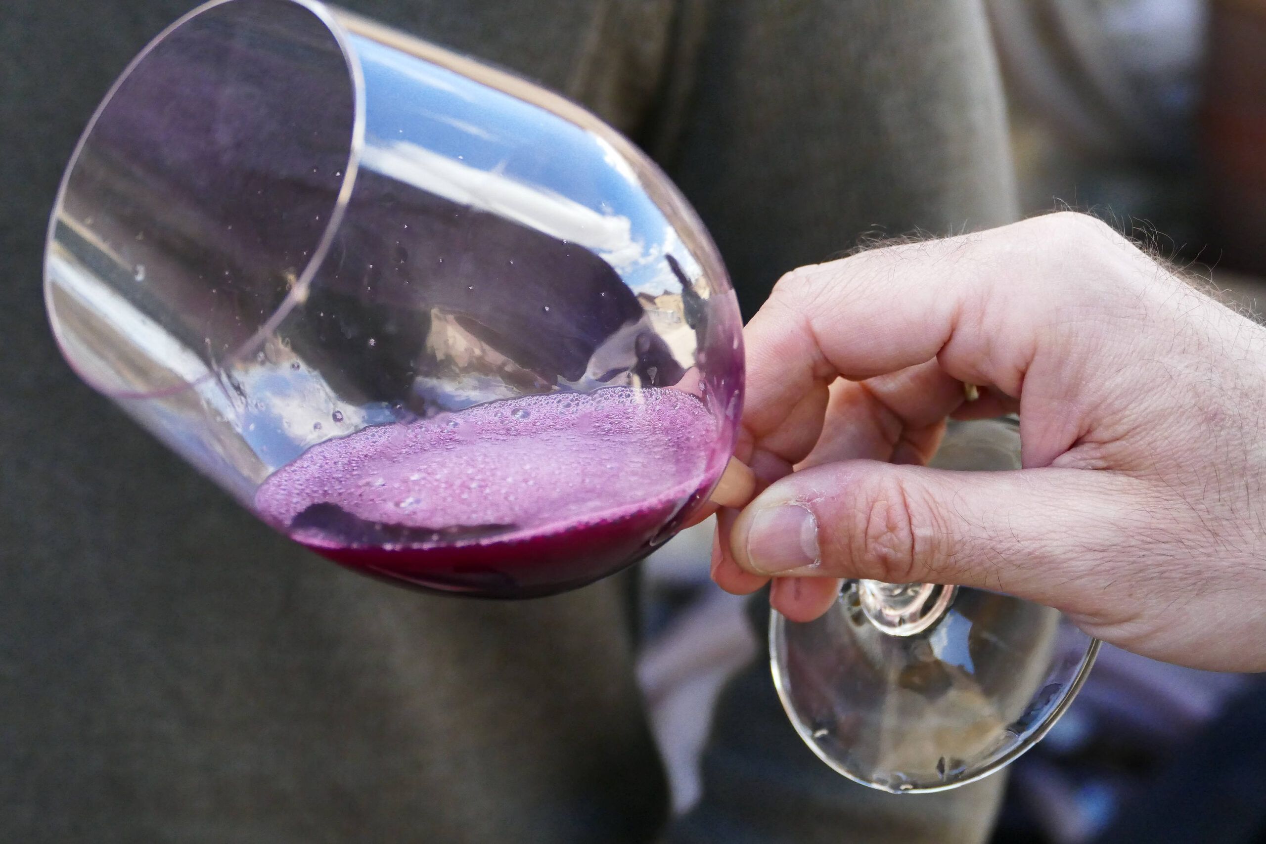 Wines with real altitude – testing 26 new Ribera del Duero wines