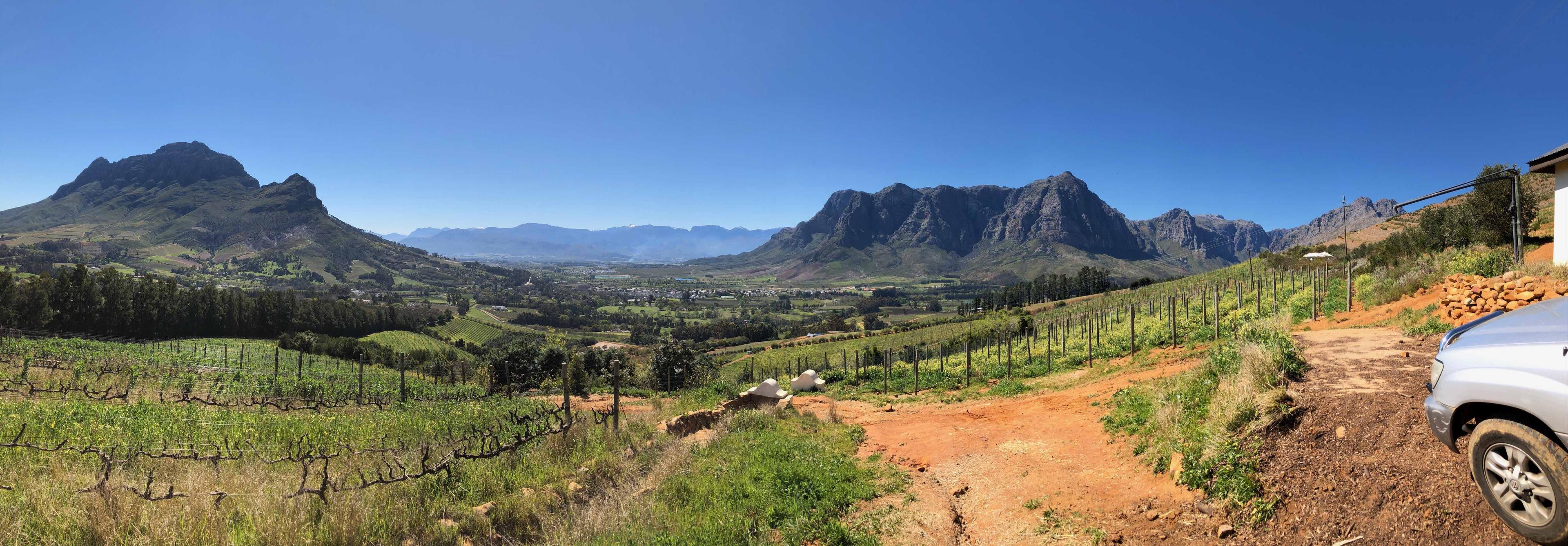 Buyer Rewind: Roger Jones’ best Chenins from Cape Wine 2018