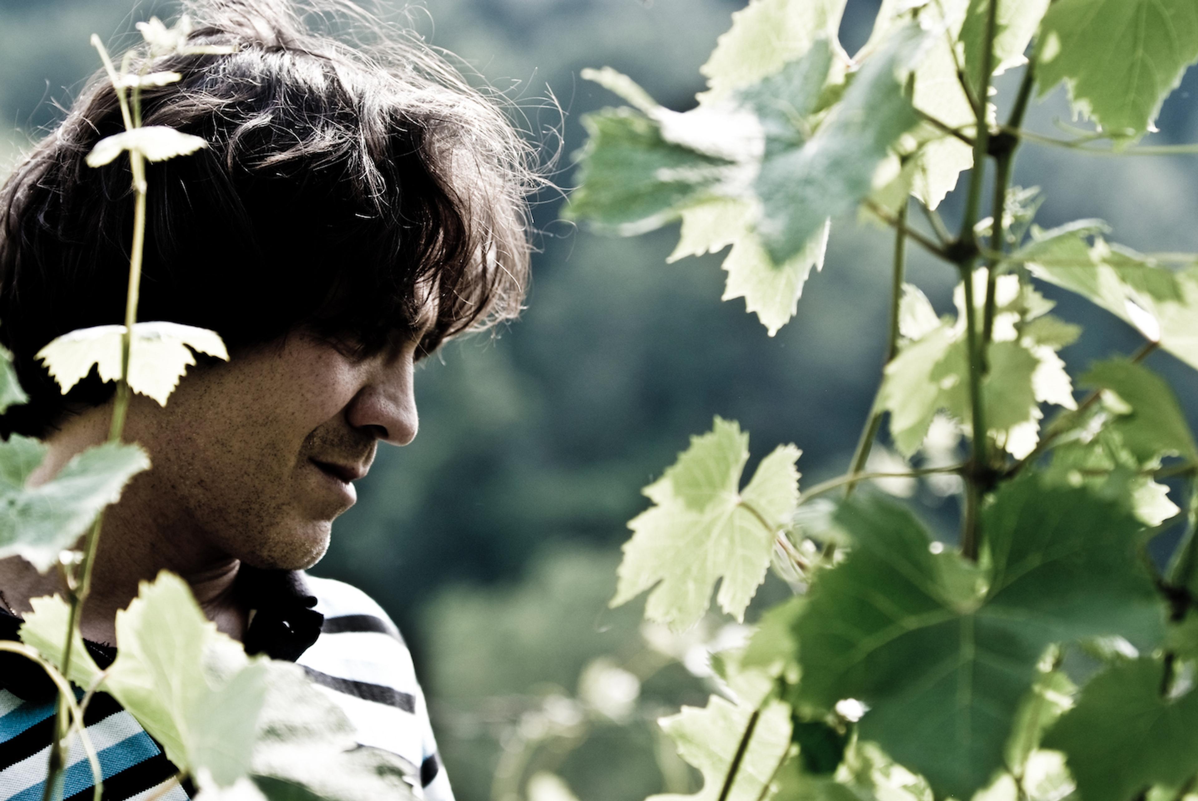 How 6 Italian wineries see green shoots of recovery in Phase 2