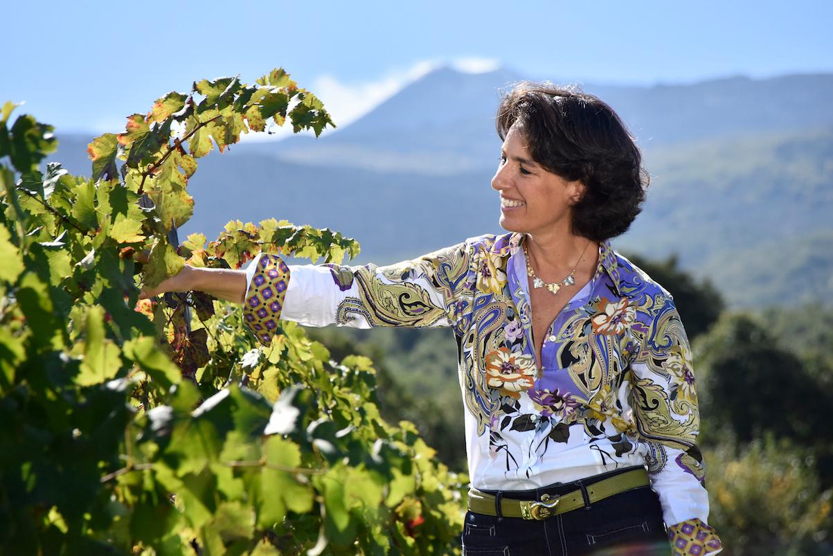 How single vineyards shone at Donnafugata’s 2018 Etna tasting