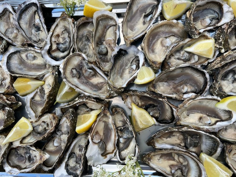 Muscadet
