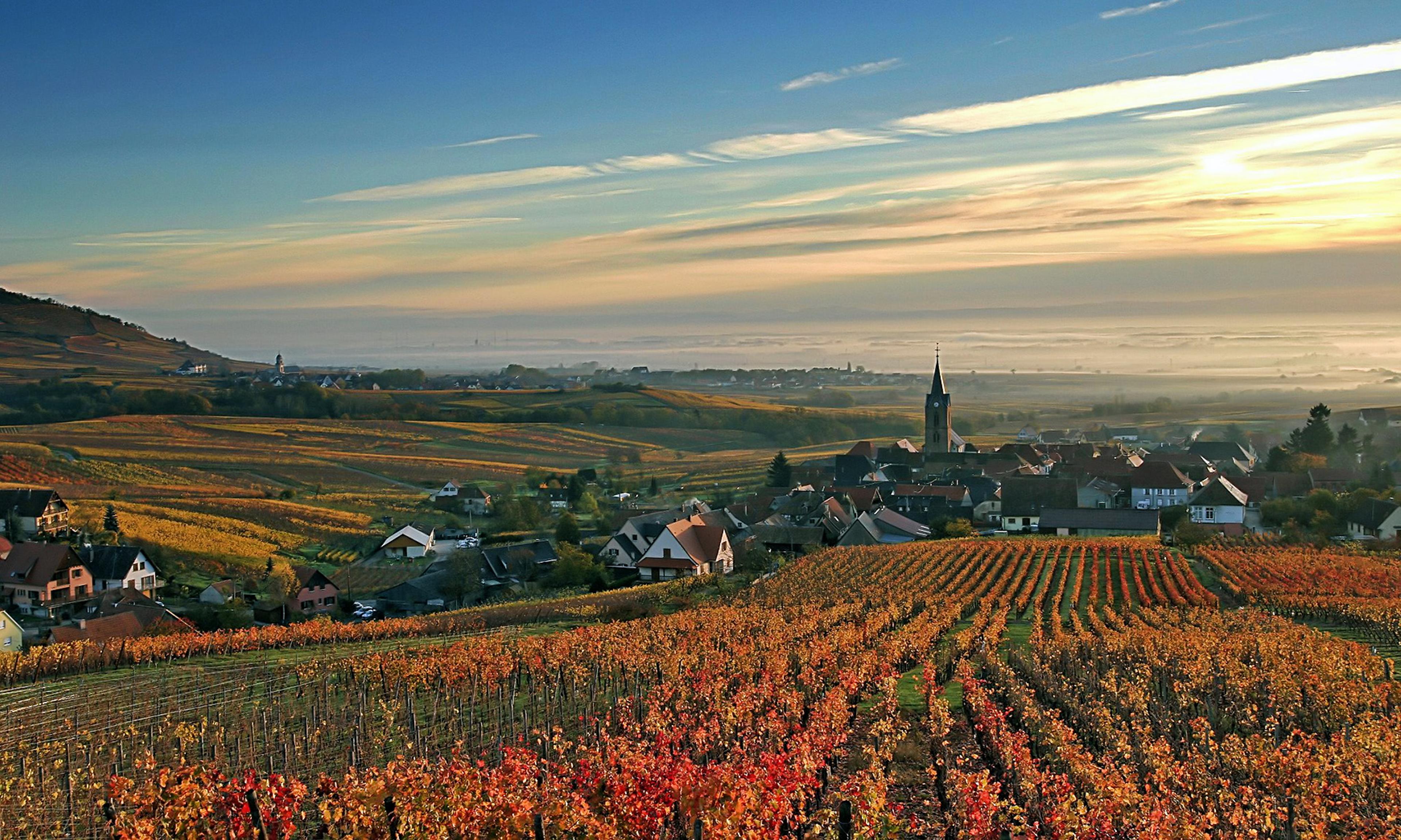 On the road: Roger Jones sums up his Alsace experience