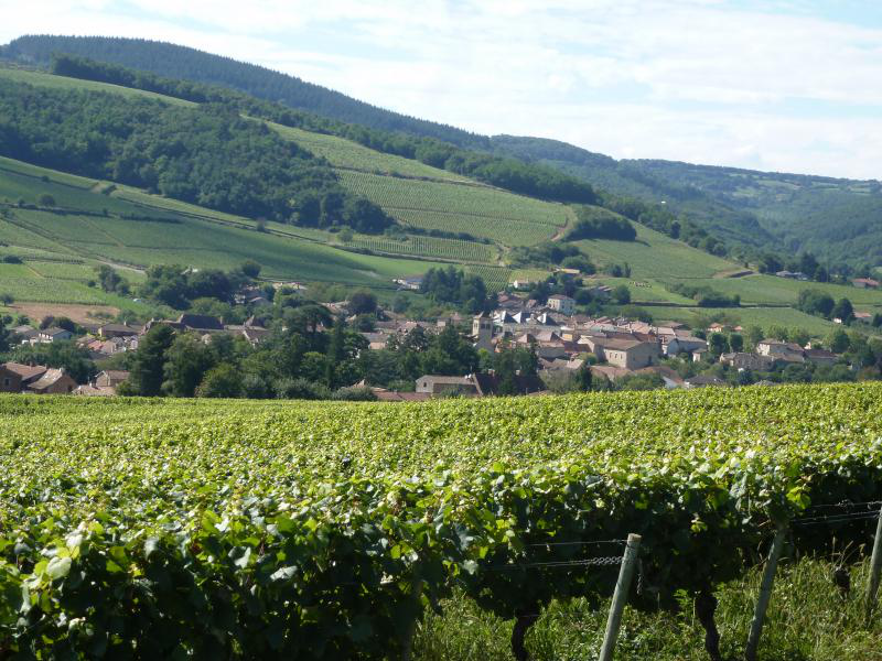 Bourgogne Hidden Gems: Mâcon-Azé AOC and Cave d’Azé