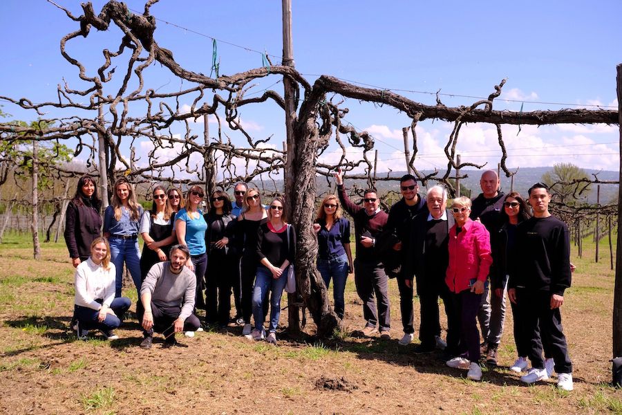 Old Vine Conference 2023: Old vines hold the key to our future