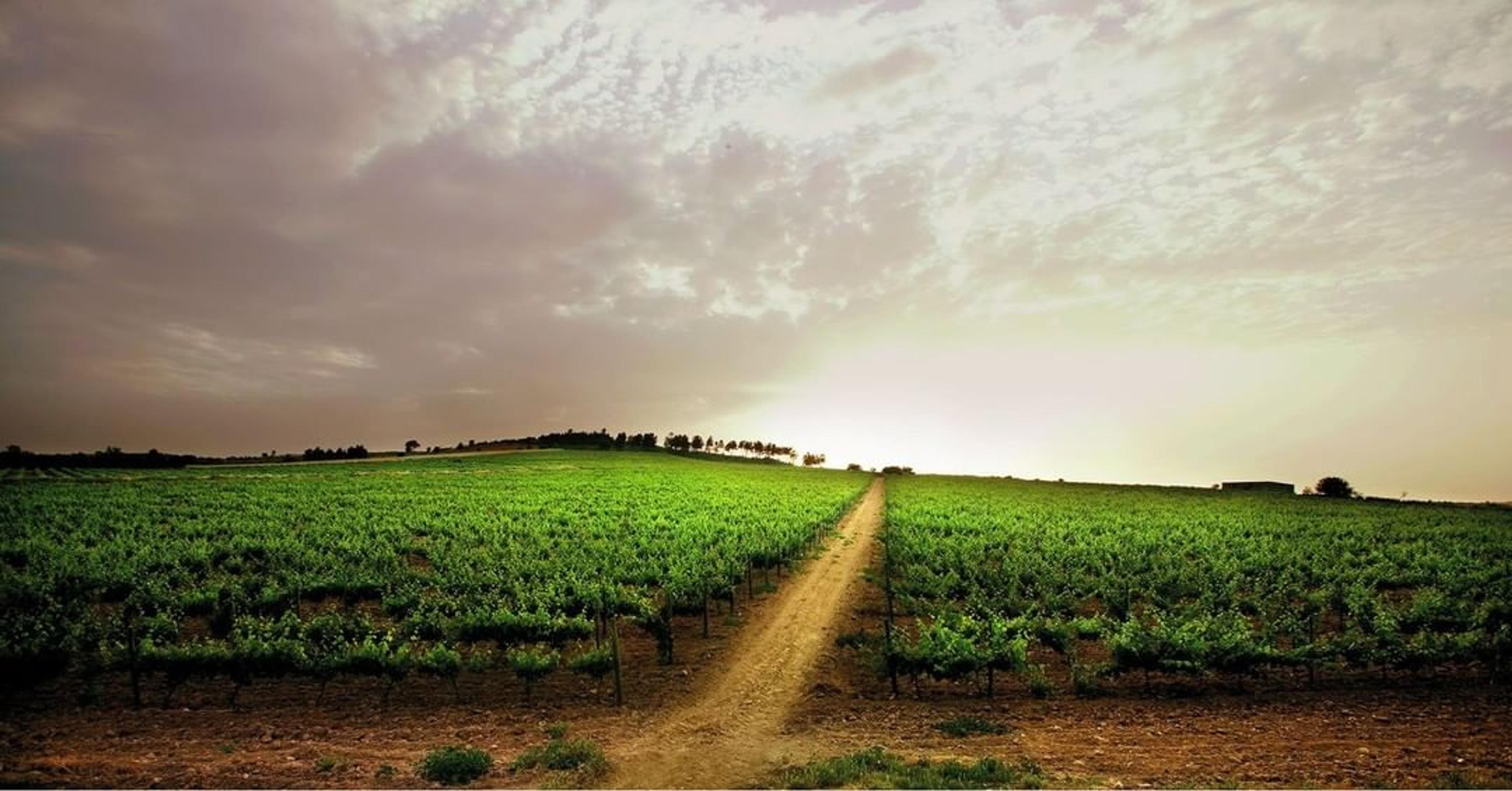 Justin Keay’s Top 10 Wines of Portugal tasting highlights