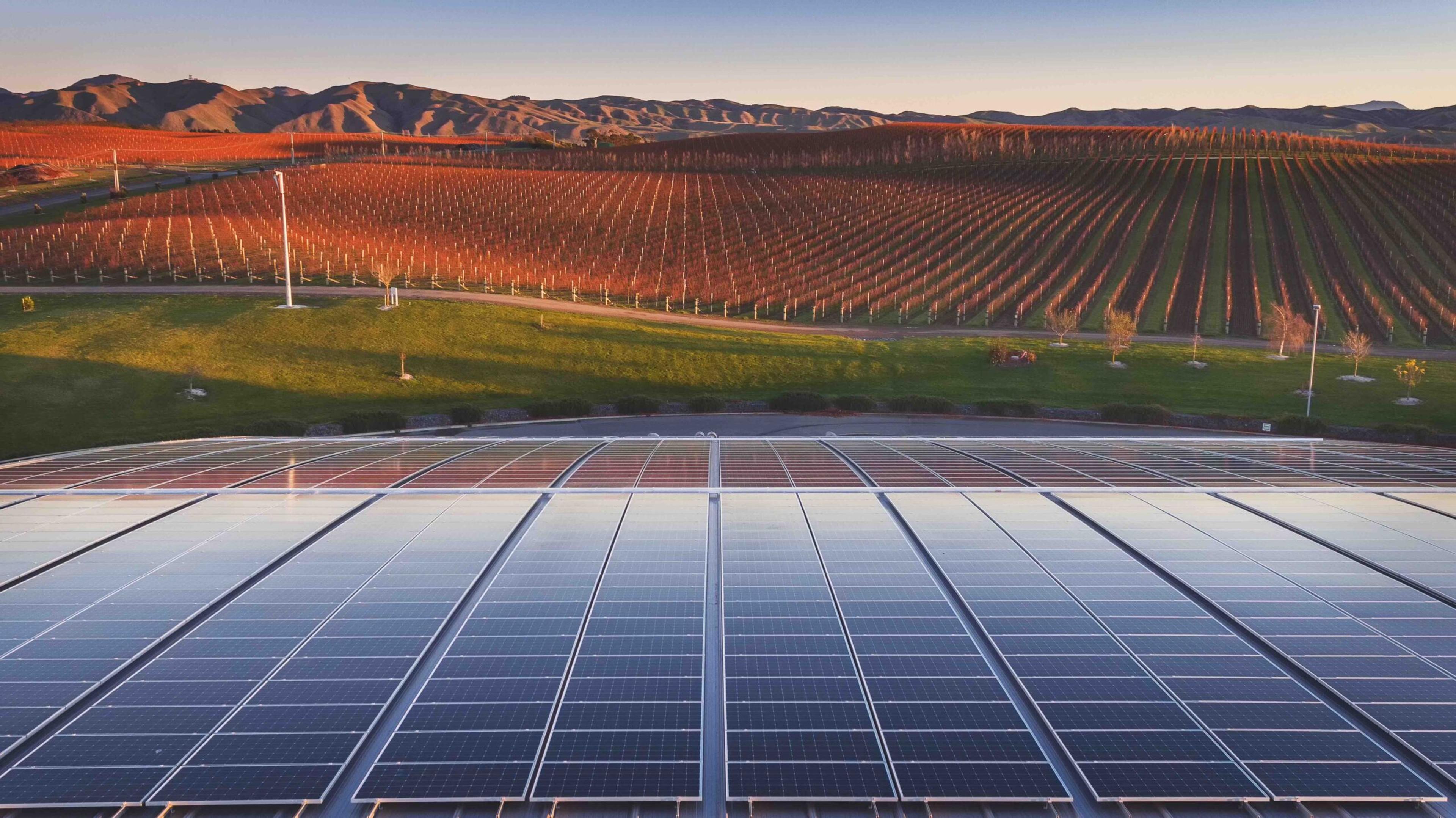 Sustainability could be New Zealand’s biggest selling point