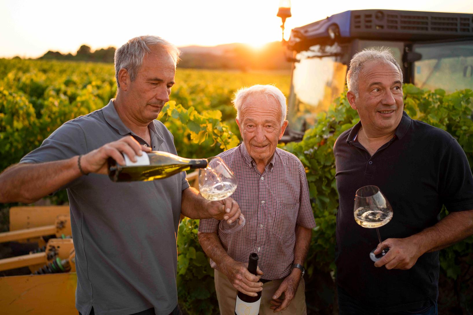 A great chameleon: Chardonnay still rules in France’s Pays d’Oc
