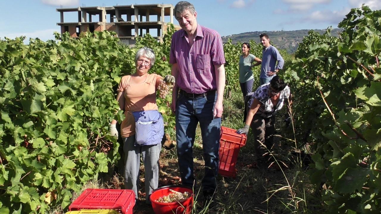 GS Wines’ Gordon Stuteley on his love for Italy’s blended wines