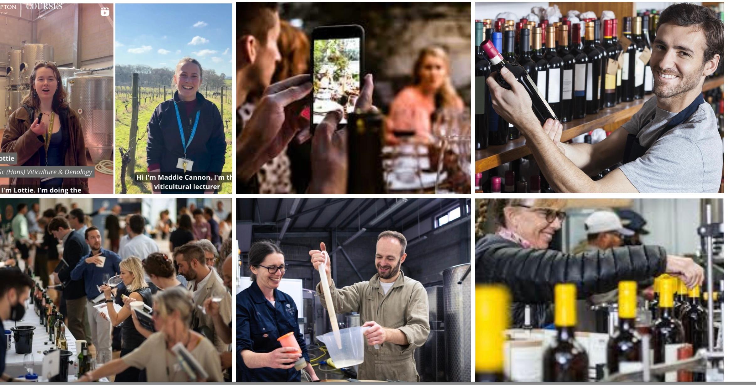 How wine industry can get behind National Wine Careers Week