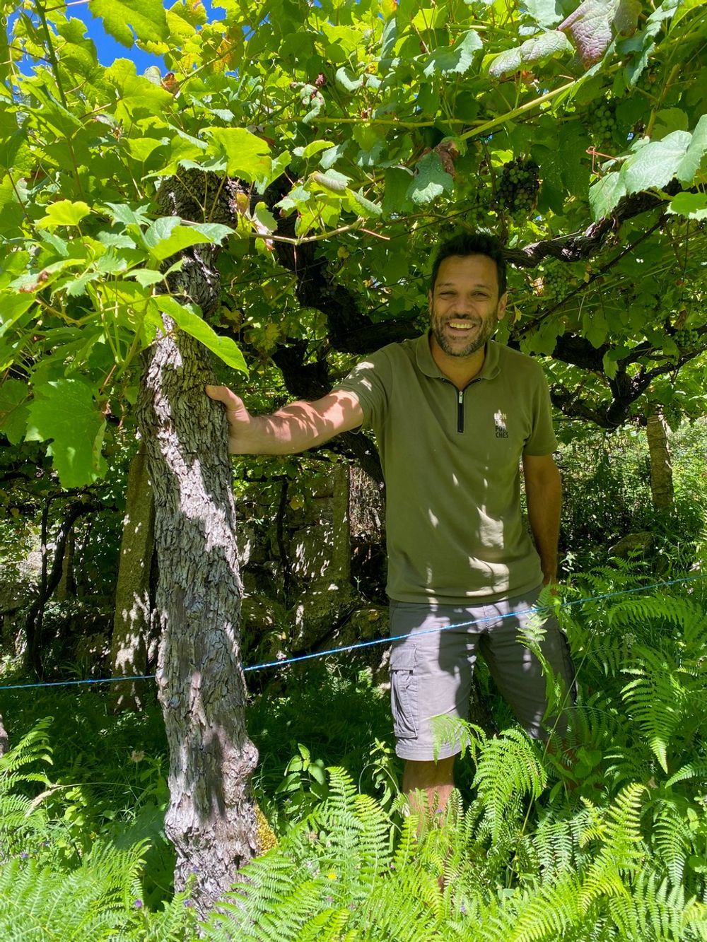 Premium Vinho Verde