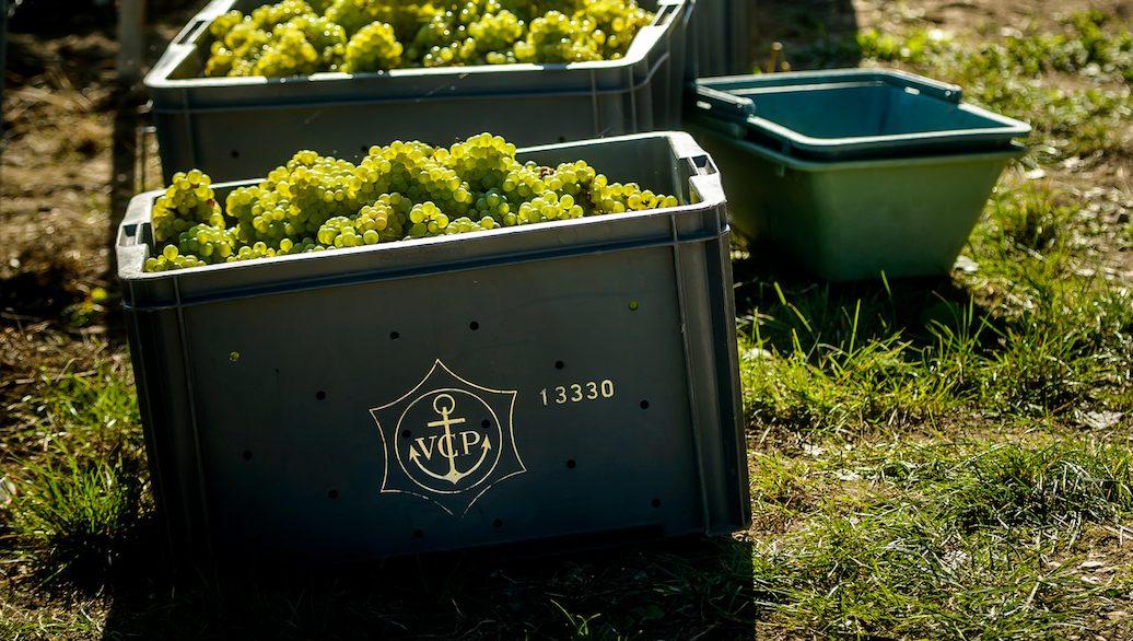 Veuve Clicquot Extra Brut Extra Old: a different Champagne