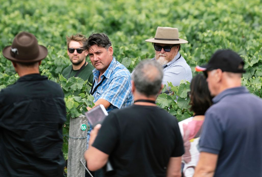 Guy Woodward: Australia should celebrate its Pinot Noirs more