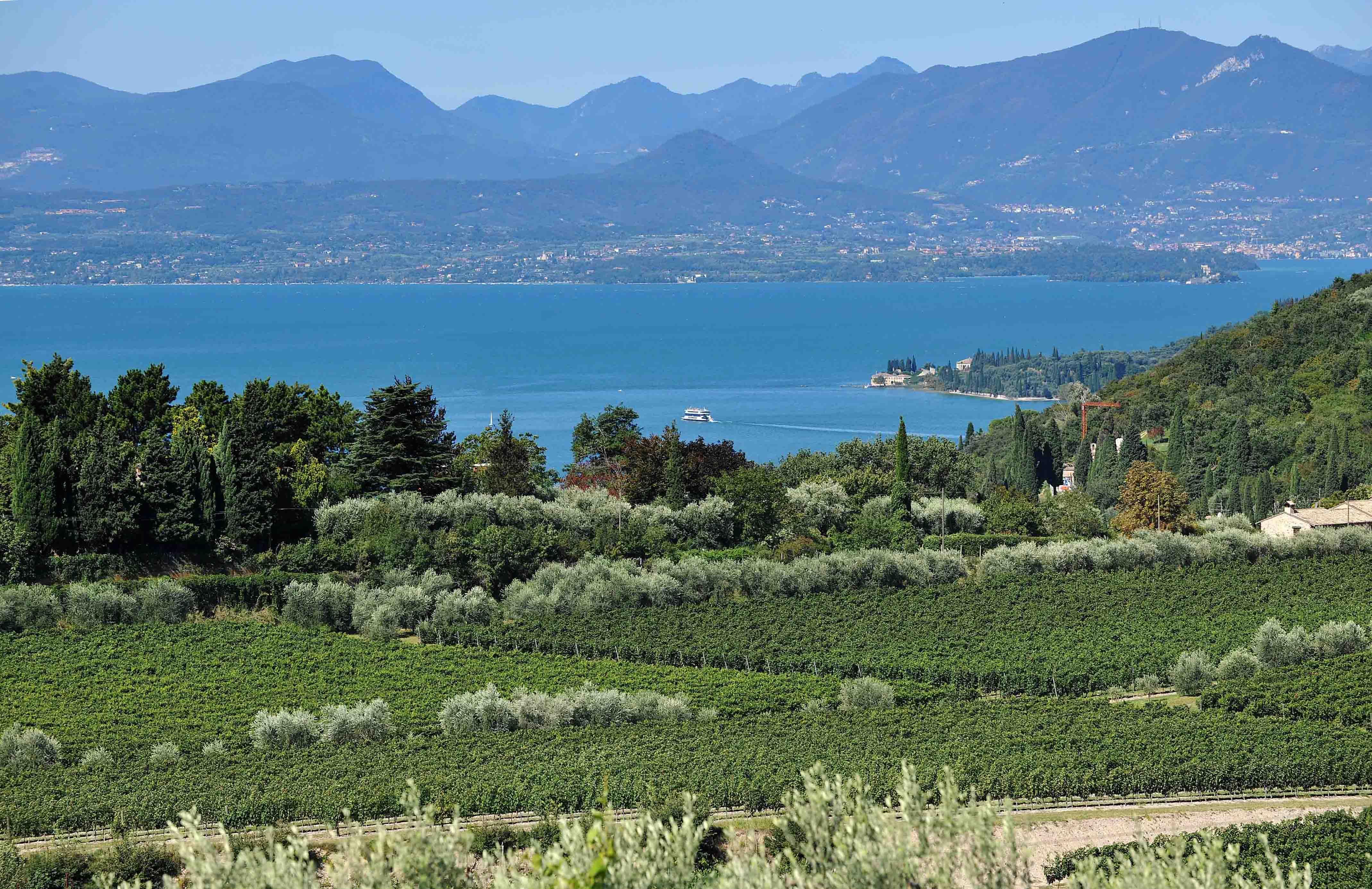Harry Crowther on Bardolino & the fresh reds & rosés of Lake Garda