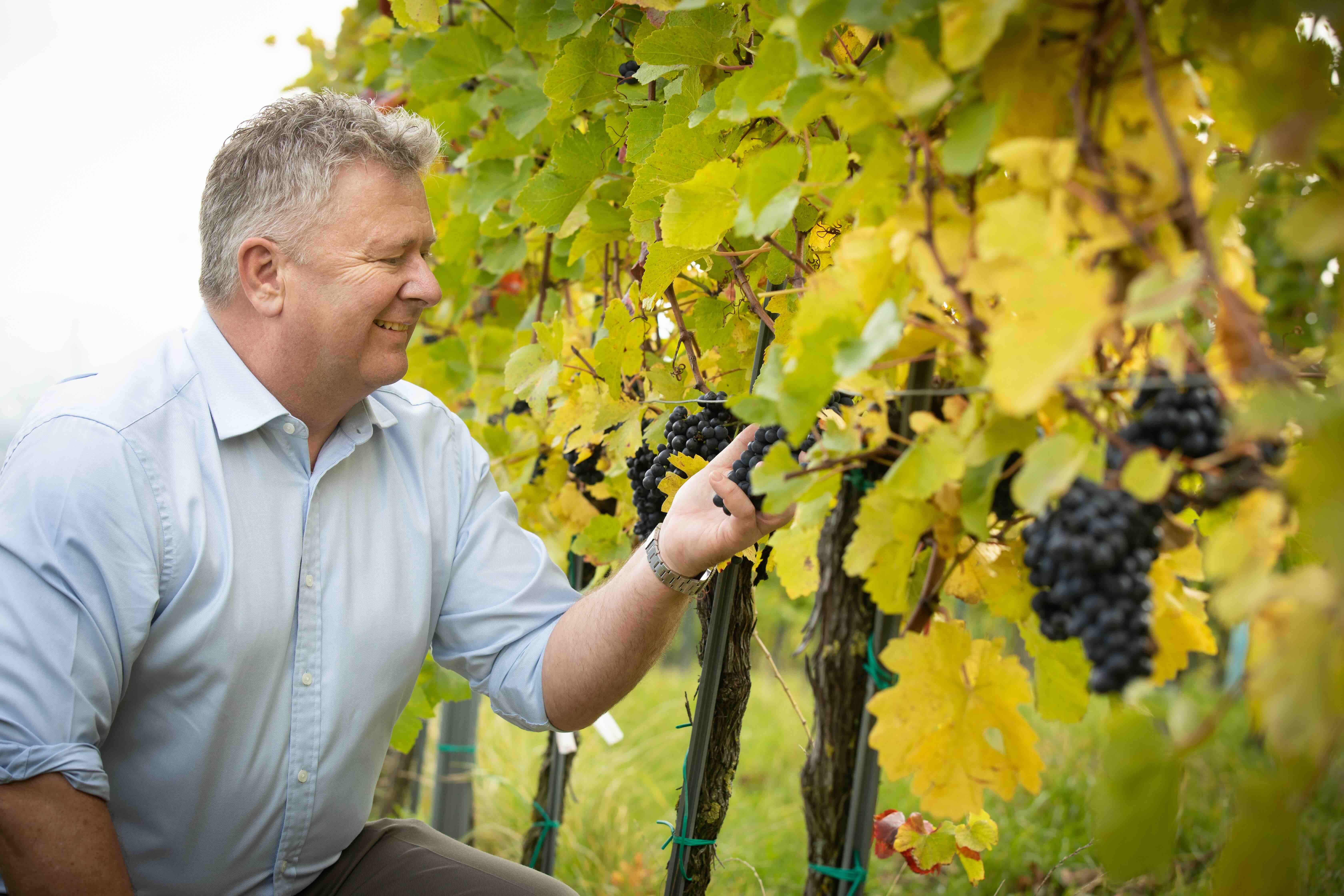 Austrian Wine's Chris Yorke sets out country's growing export strategy   