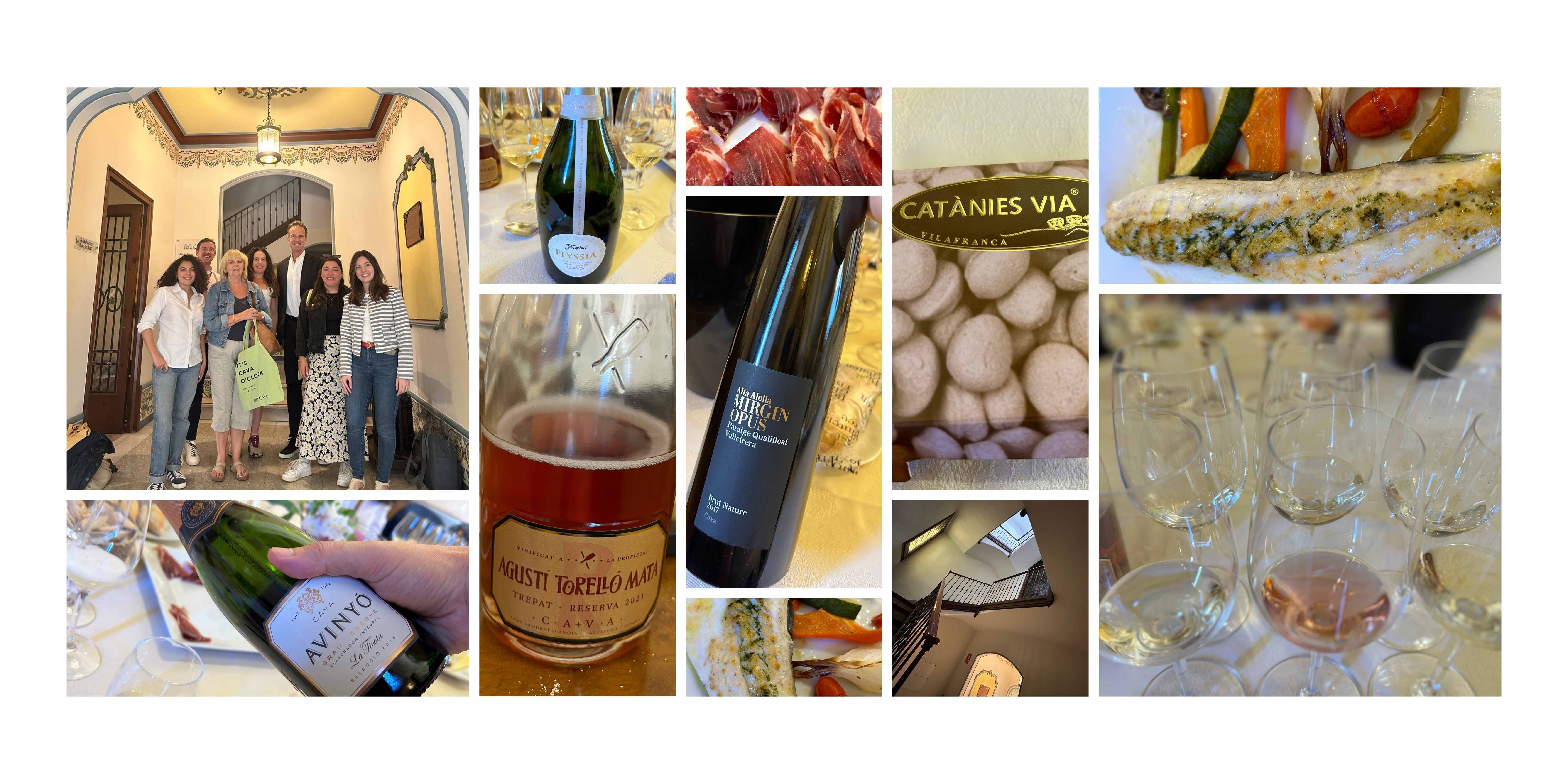 Lilla O'Connor: How Cava can build on its strong market position 