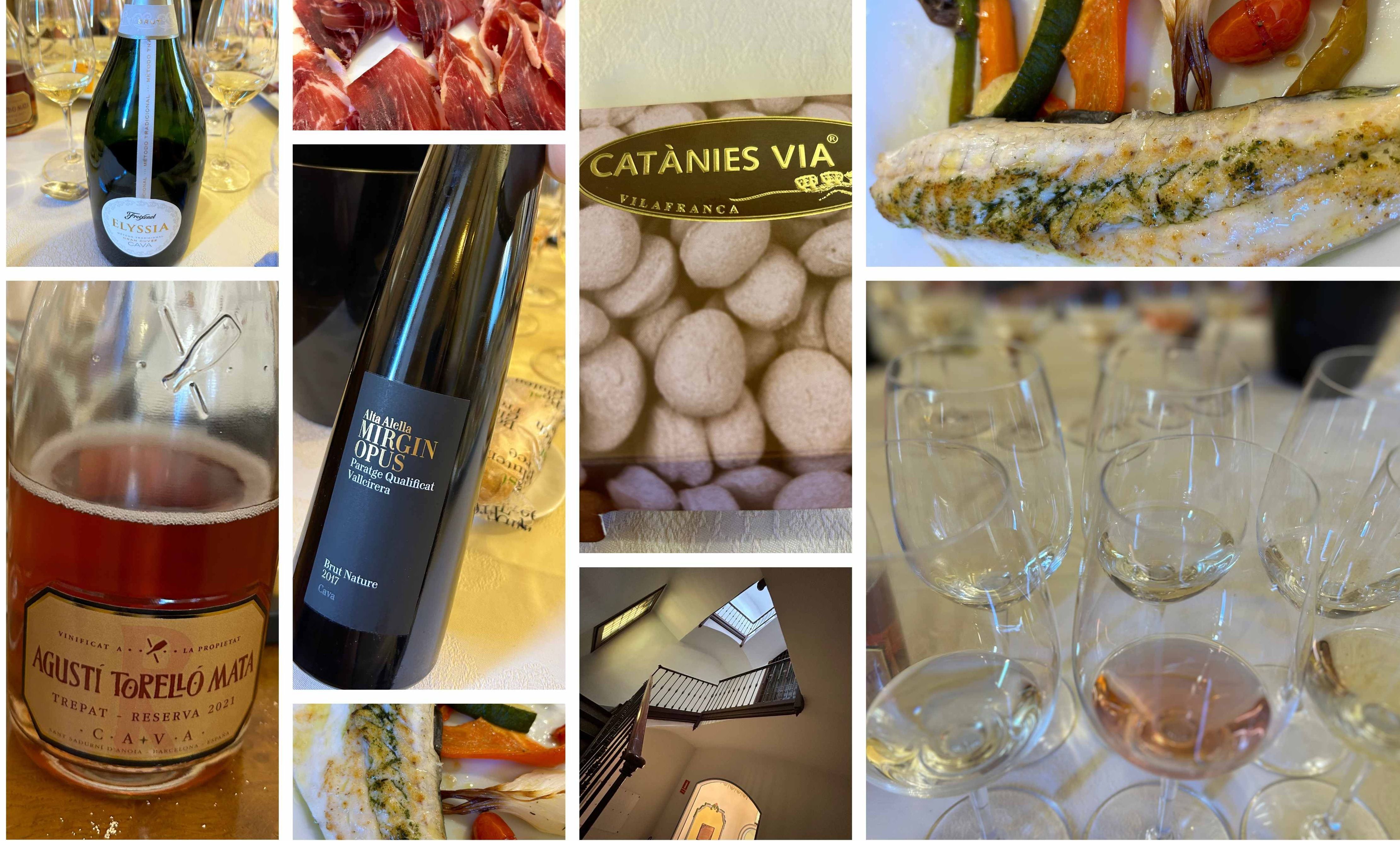 Lilla O'Connor: How Cava can build on its strong market position 