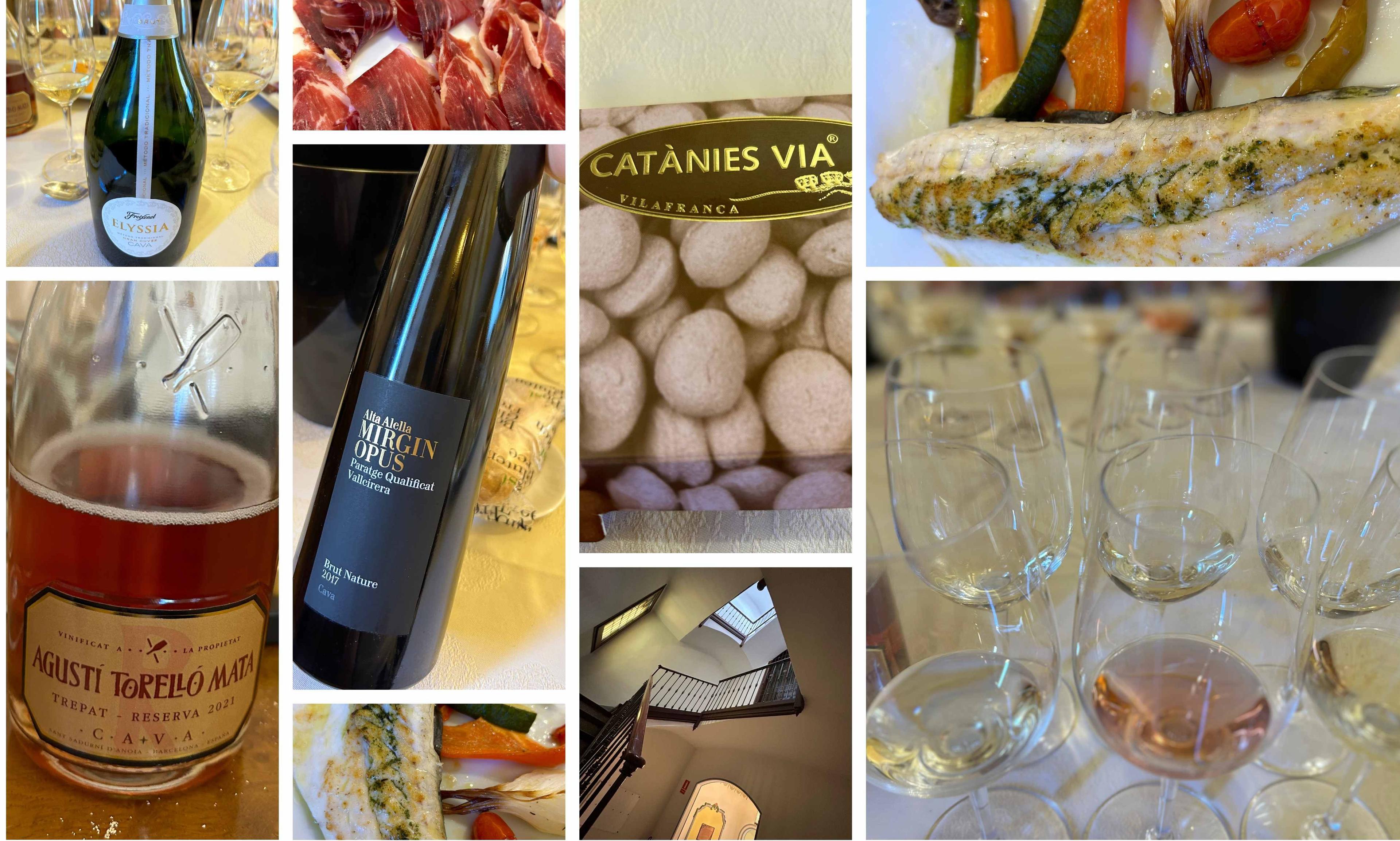 Lilla O'Connor: How Cava can build on its strong market position