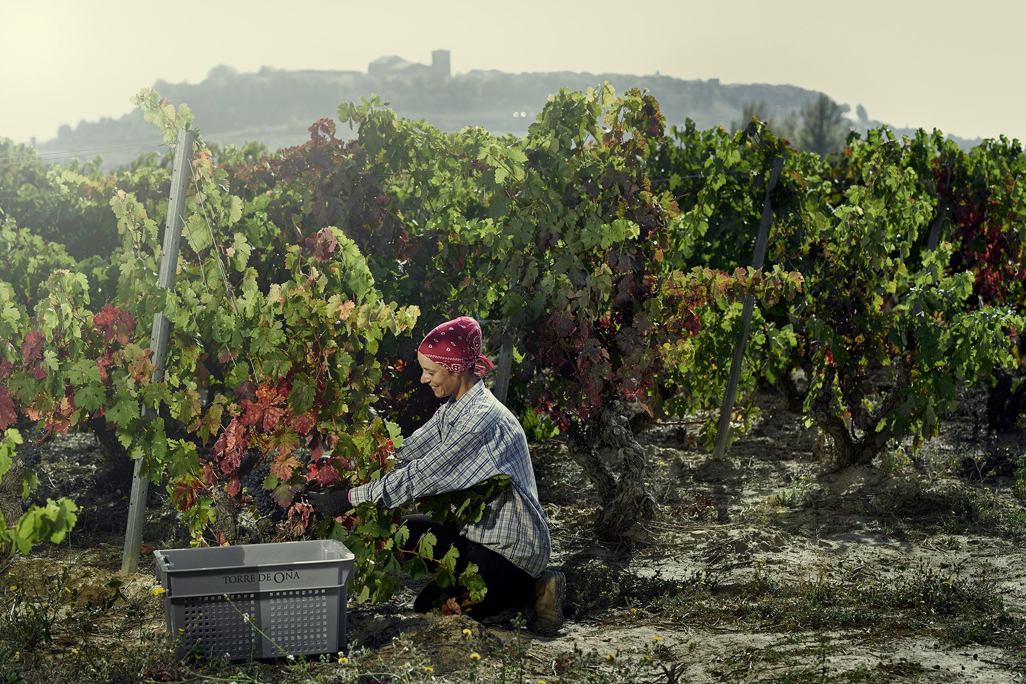 Harry Crowther: why La Rioja Alta is up for a vertical challenge