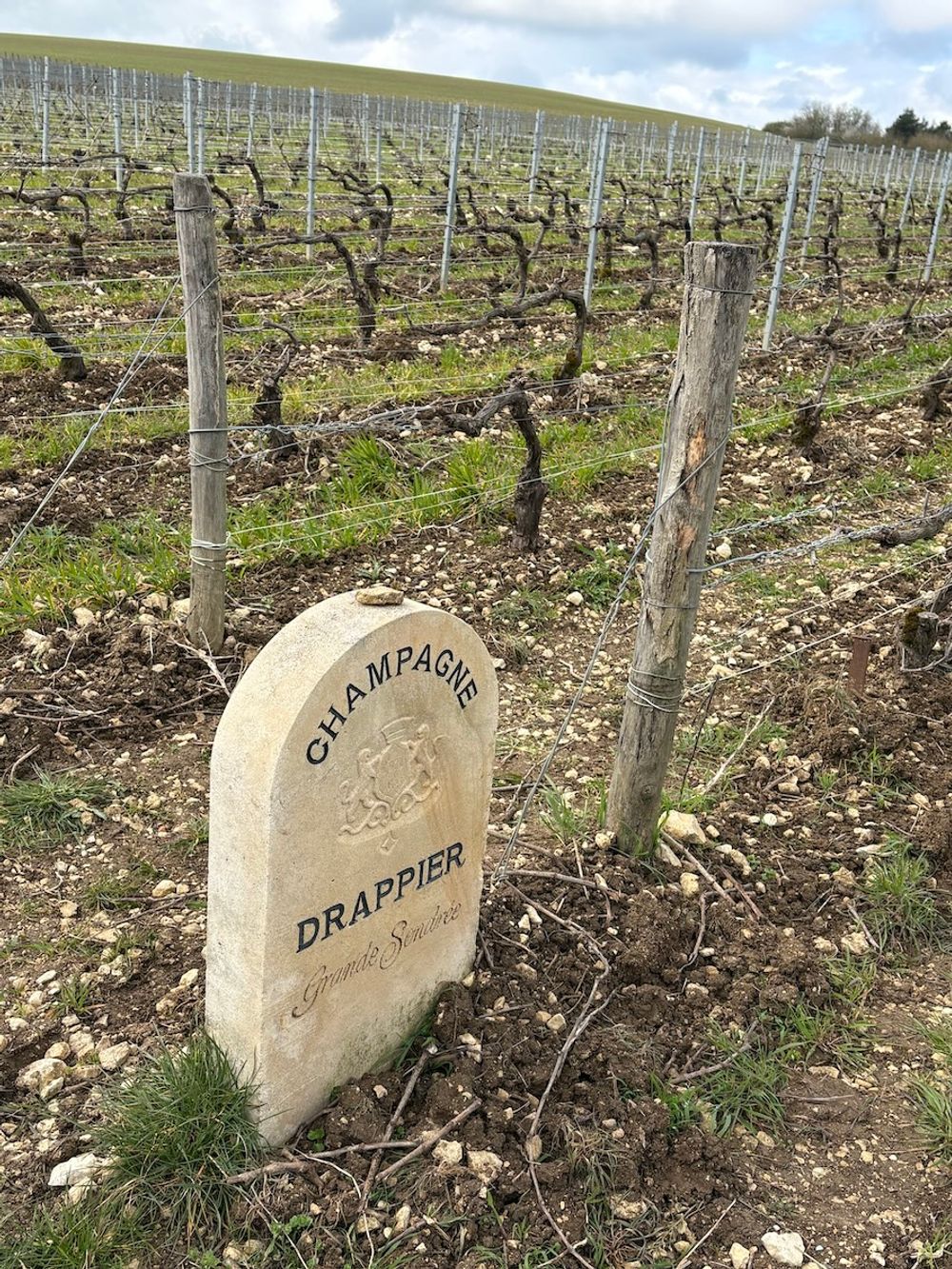 Drappier Éclose 2012