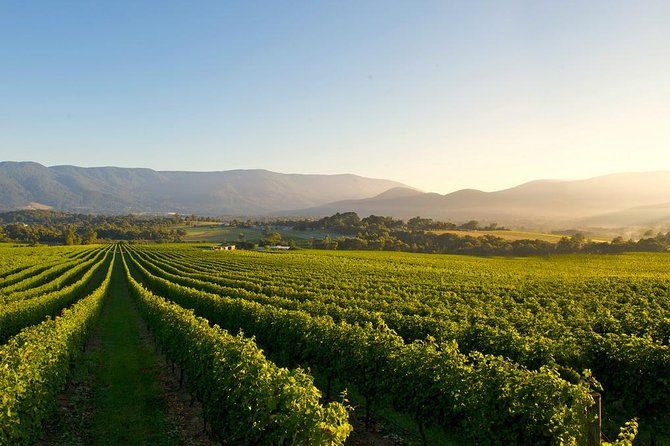 Justin Keay: Australian wine is back with Victoria leading the charge