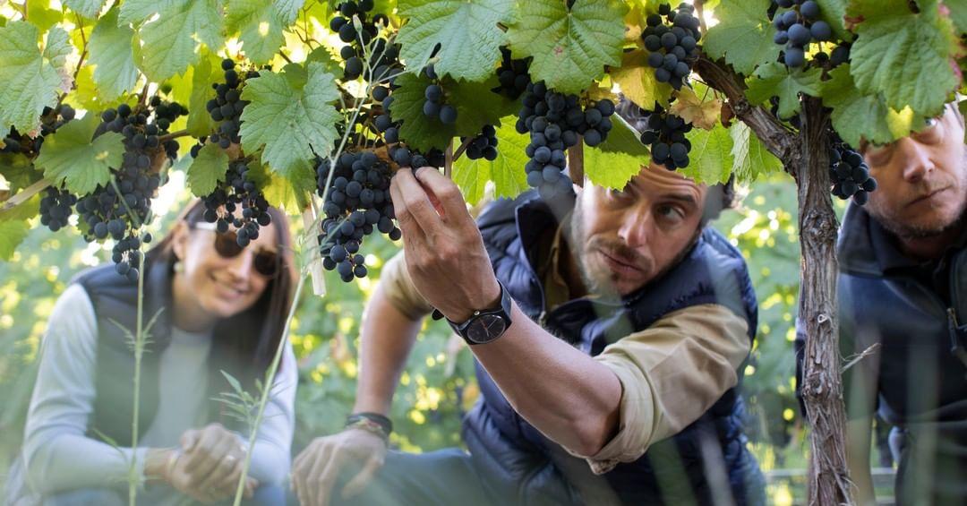 Sebastián Zuccardi: Making Malbec with a sense of place