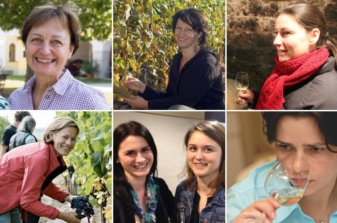 Caroline Gilby MW on Central European women winemakers