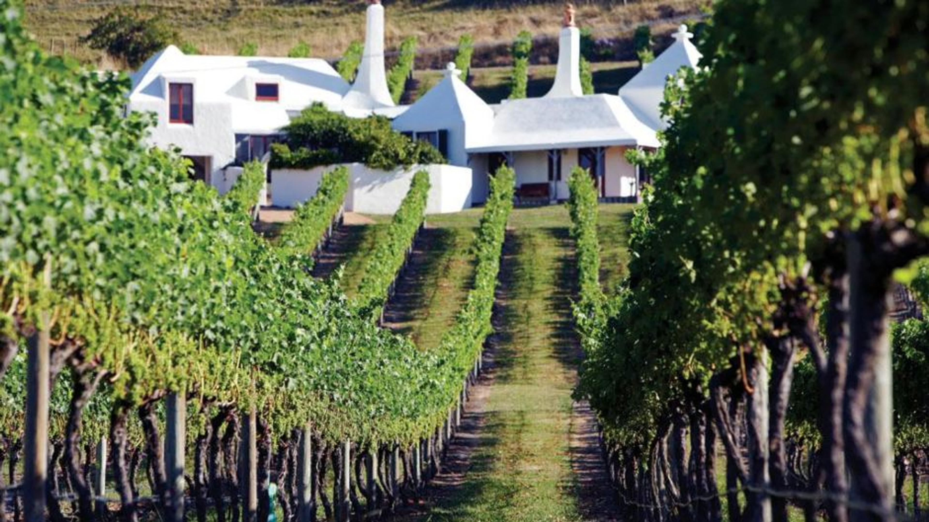 Roger Jones: how Te Mata’s Coleraine lives up to the hype