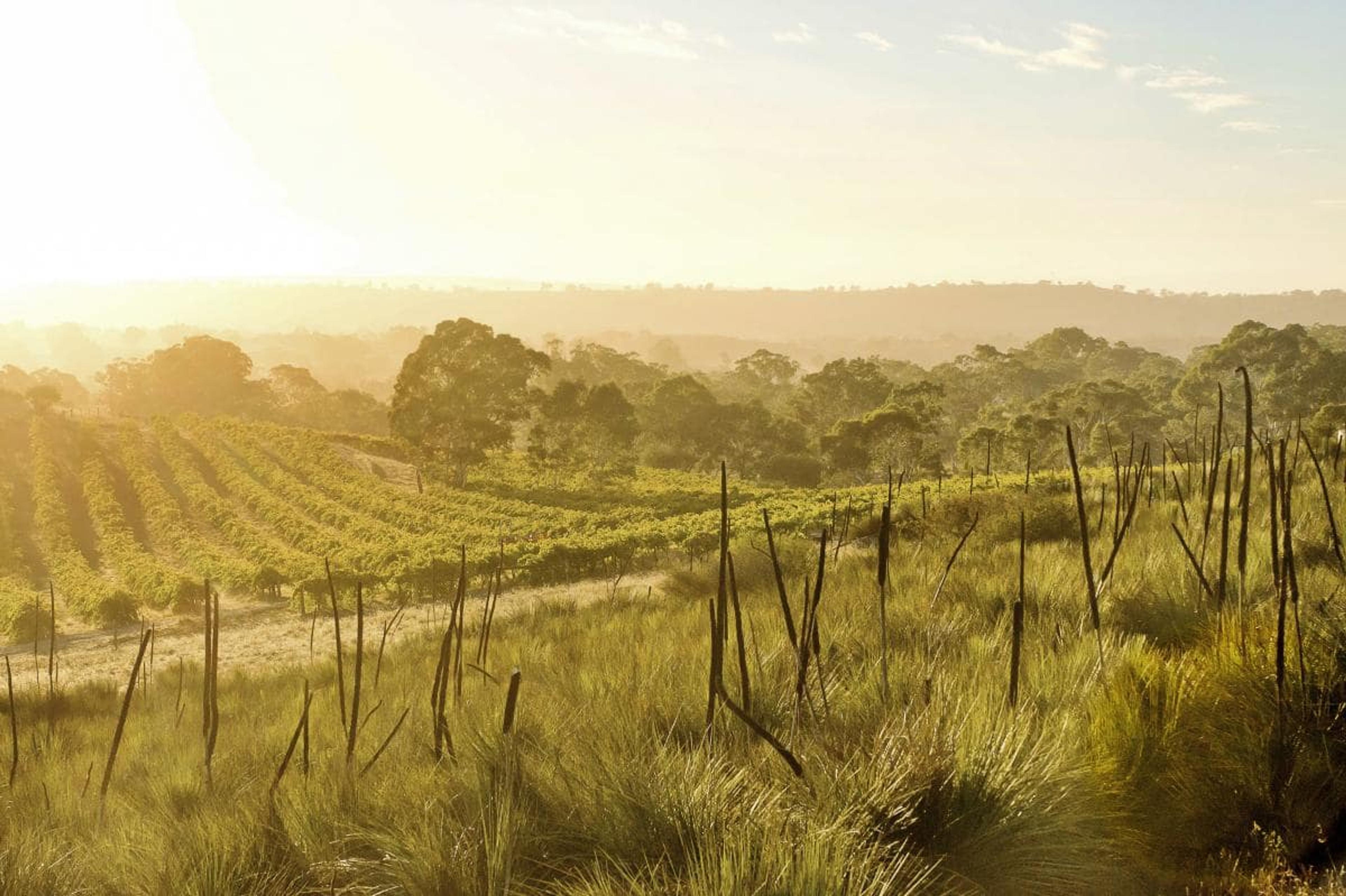 Barr-Eden: MMD goes to the top of the hill for its first Australian agency