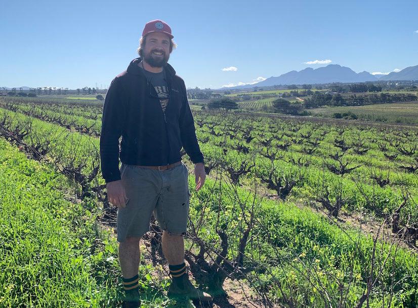 Tasting the new Scions of Sinai 2019 single vineyard wines