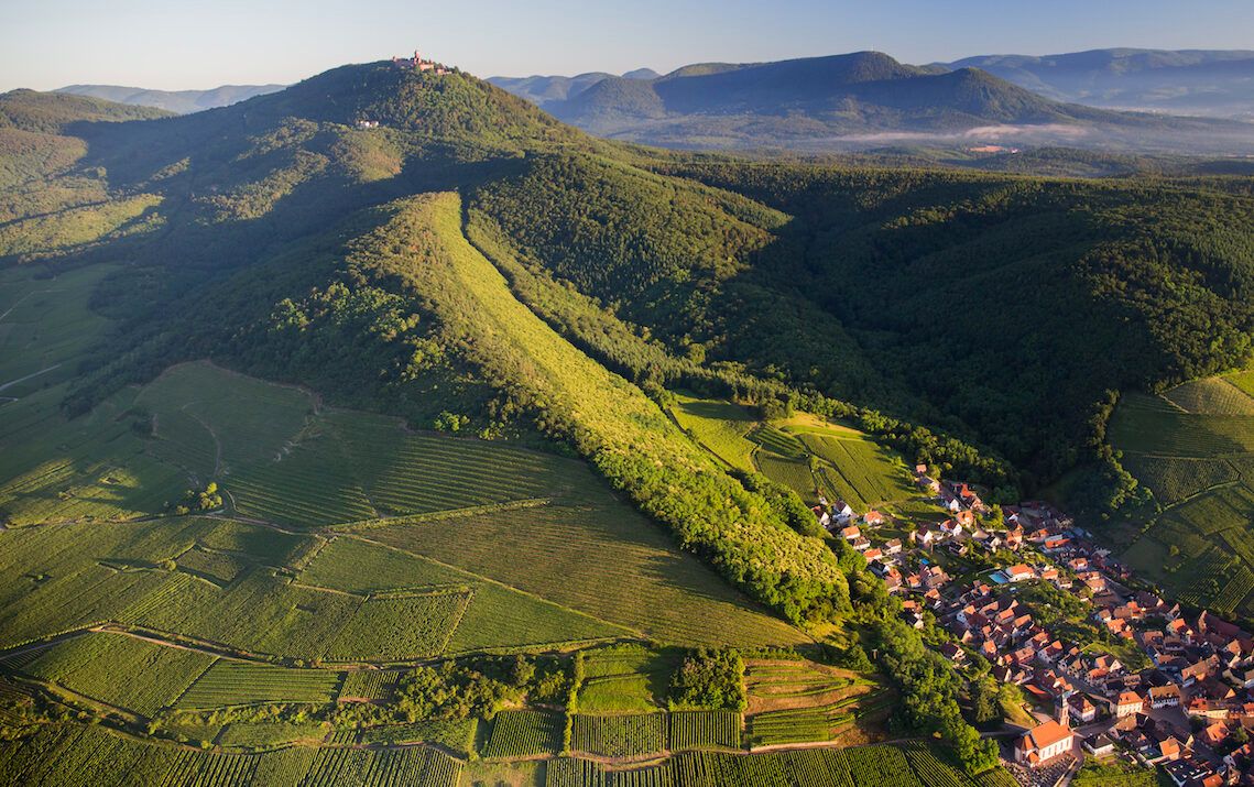 Alsace tasting special: IWSC’s top 10 picks for ProWein 2023
